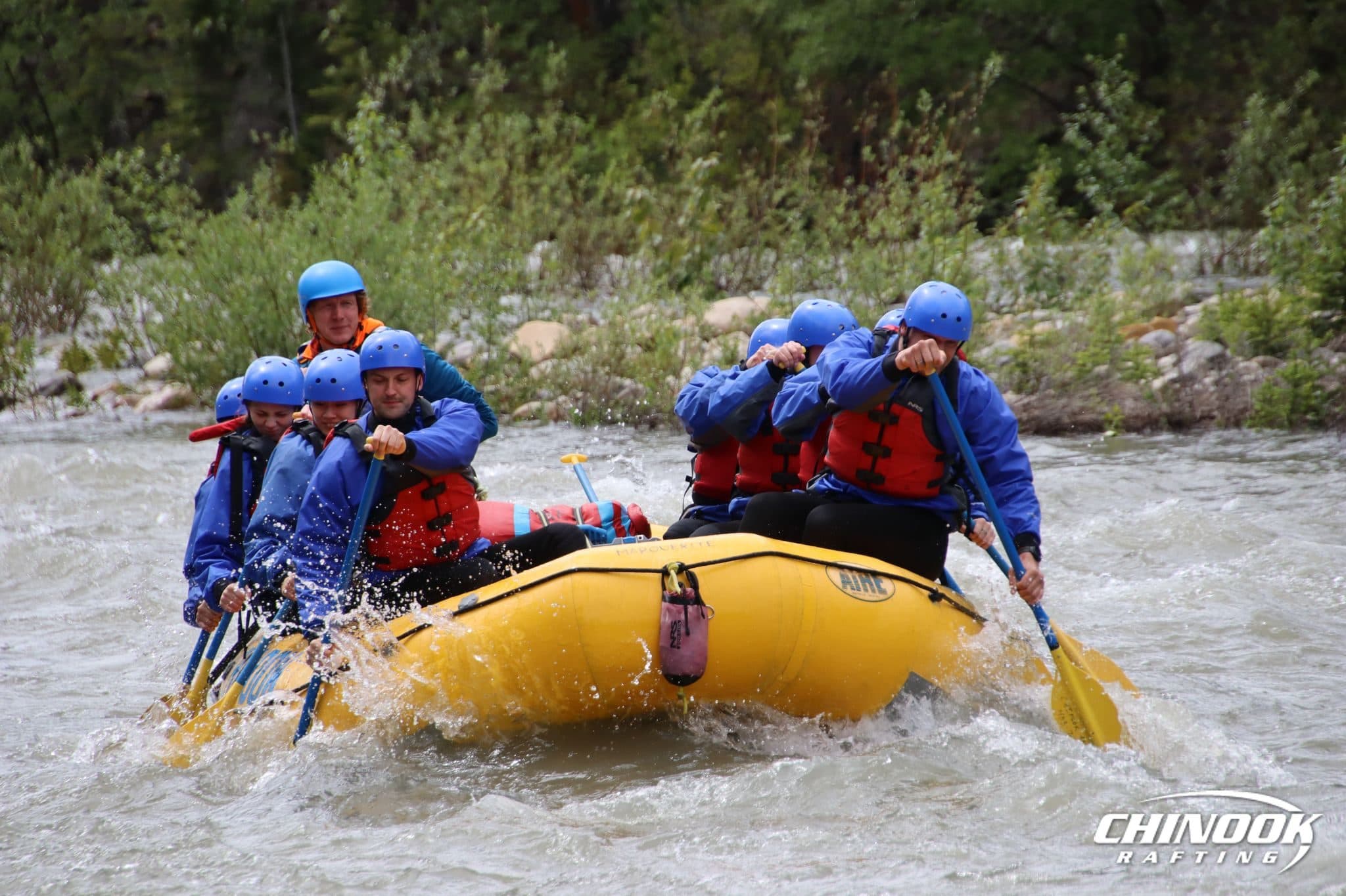 Kananaskis River — 2026-06-07 — imported [gd:1lqaDPazy0fdJatxsC4MIhnPUnh9xpQLk]