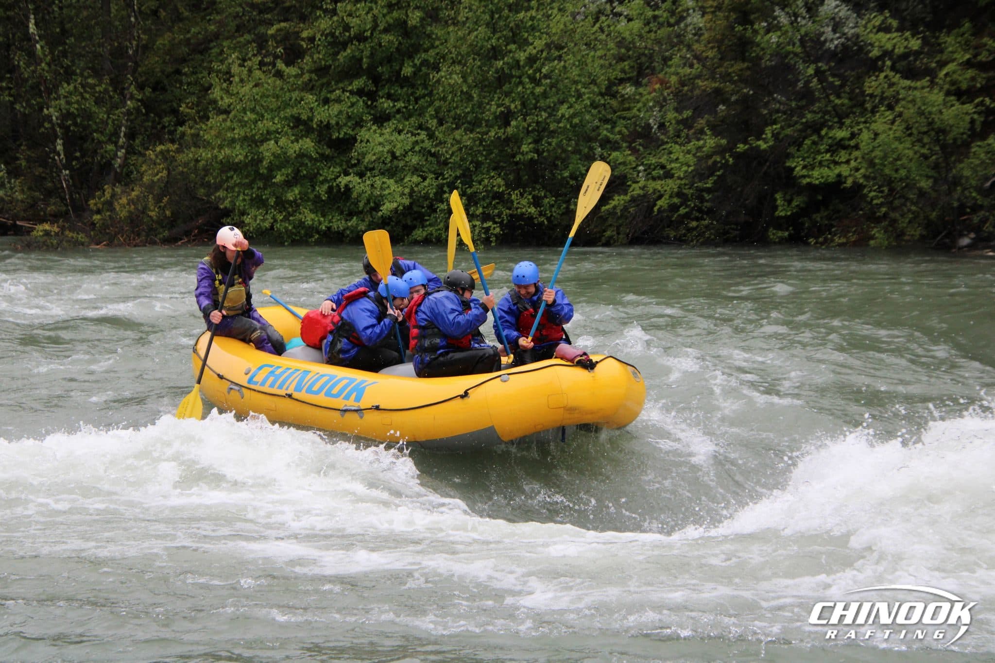 Signature Splash — 2026-06-12 — imported [gd:1F6IoK_vrupEy1qH7WWmGnfSVifMQZ8Q9]