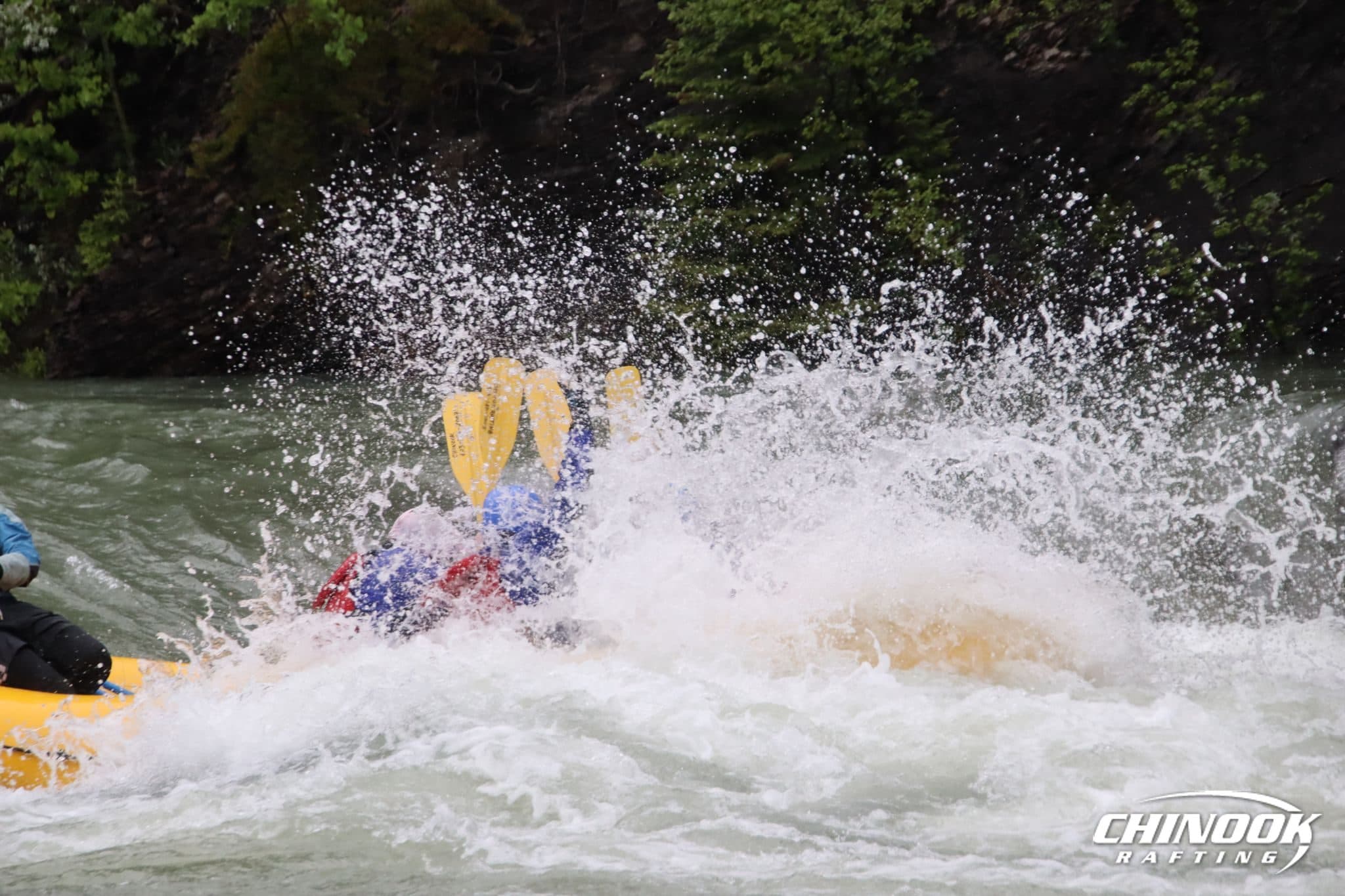 Signature Splash — 2026-06-12 — imported [gd:1P5Qd2If6CBjYoihv95EHxWuXPvbB01qi]