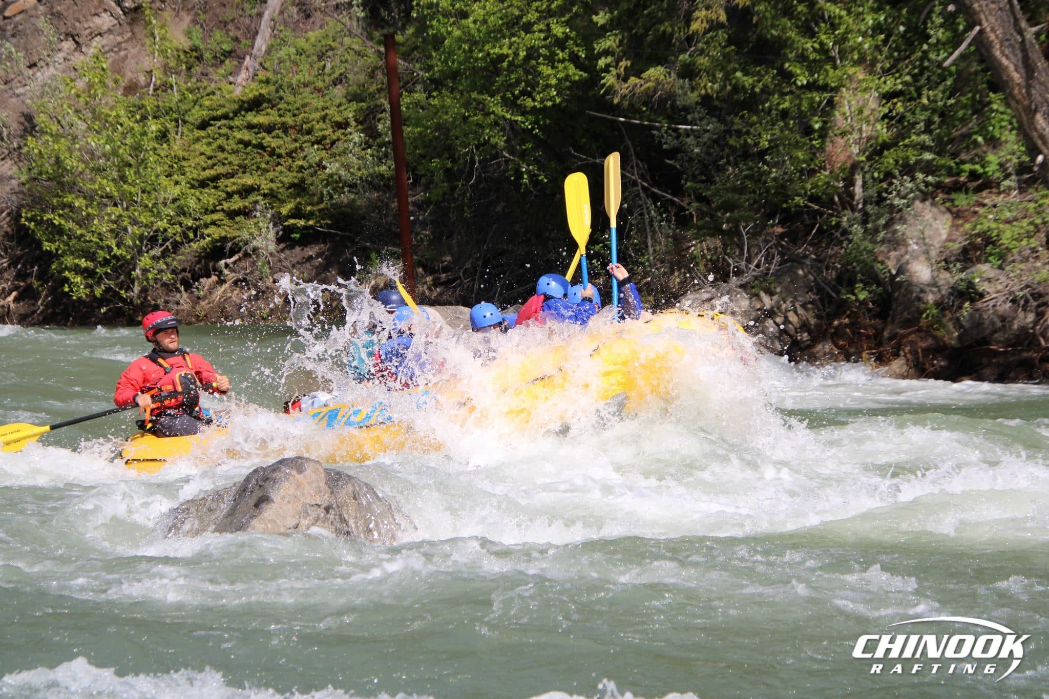 Signature Splash — 2026-06-14 — imported [gd:1_9A8GjrvCKJ8fUZmYU4vDlqtop2FNkMt]