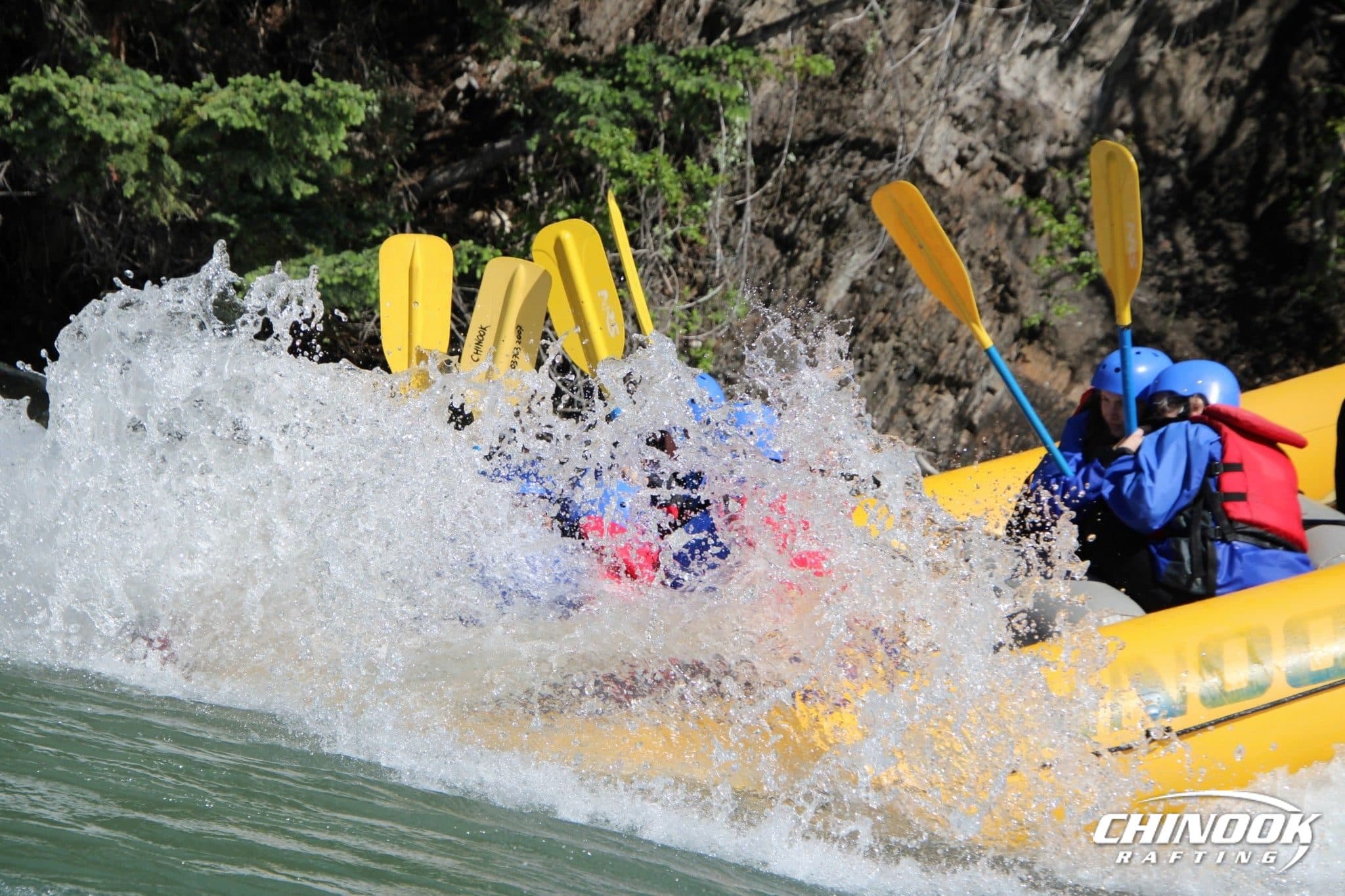 Signature Splash — 2026-06-20 — imported [gd:1l_YxLZt8-wfTD6zAu_NHNZ8ceIr1ZBxX]