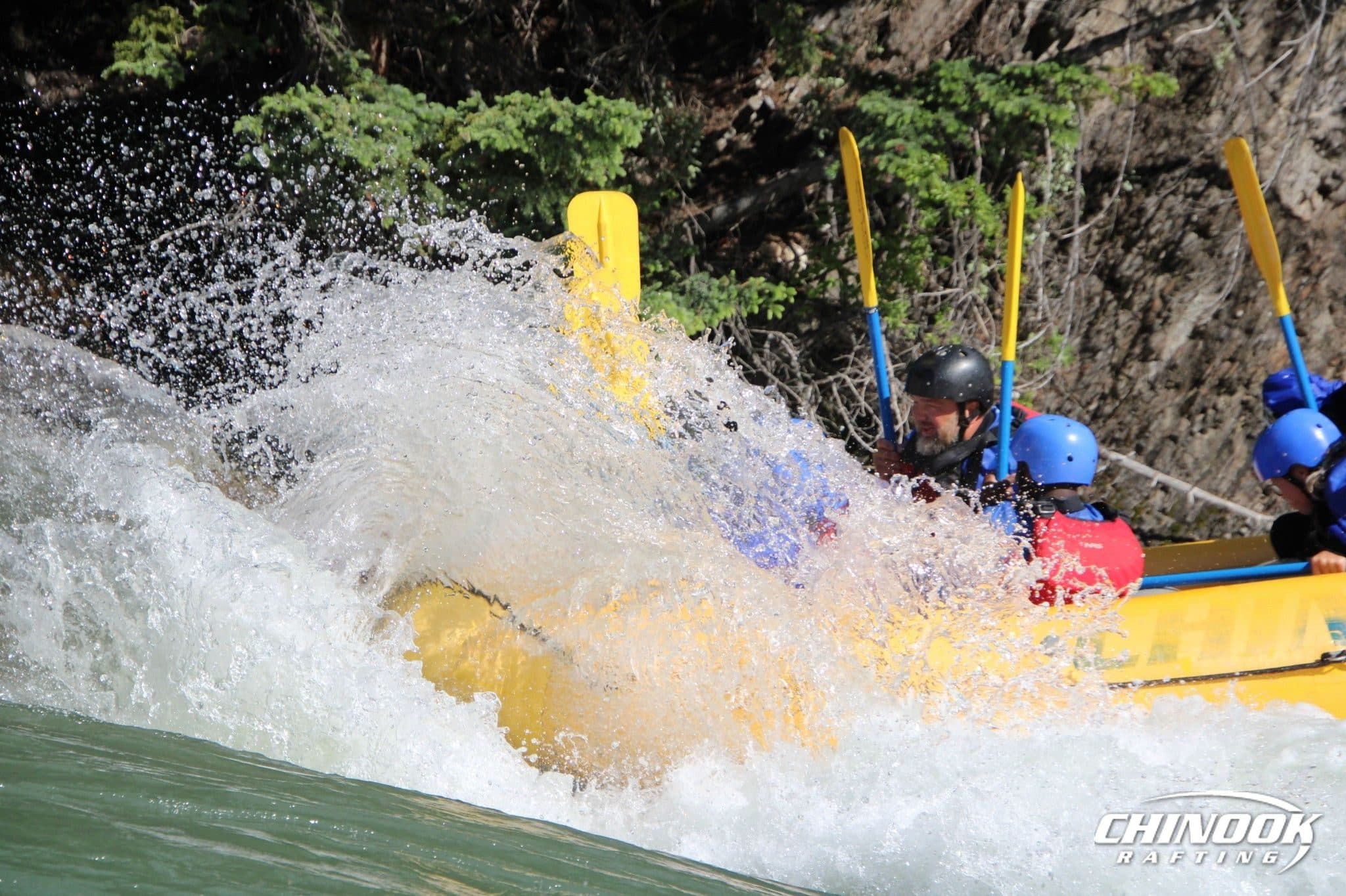 Signature Splash — 2026-06-20 — imported [gd:1YxgoSF7zXkOa5zMQHRy3T5rYb3k5ibko]