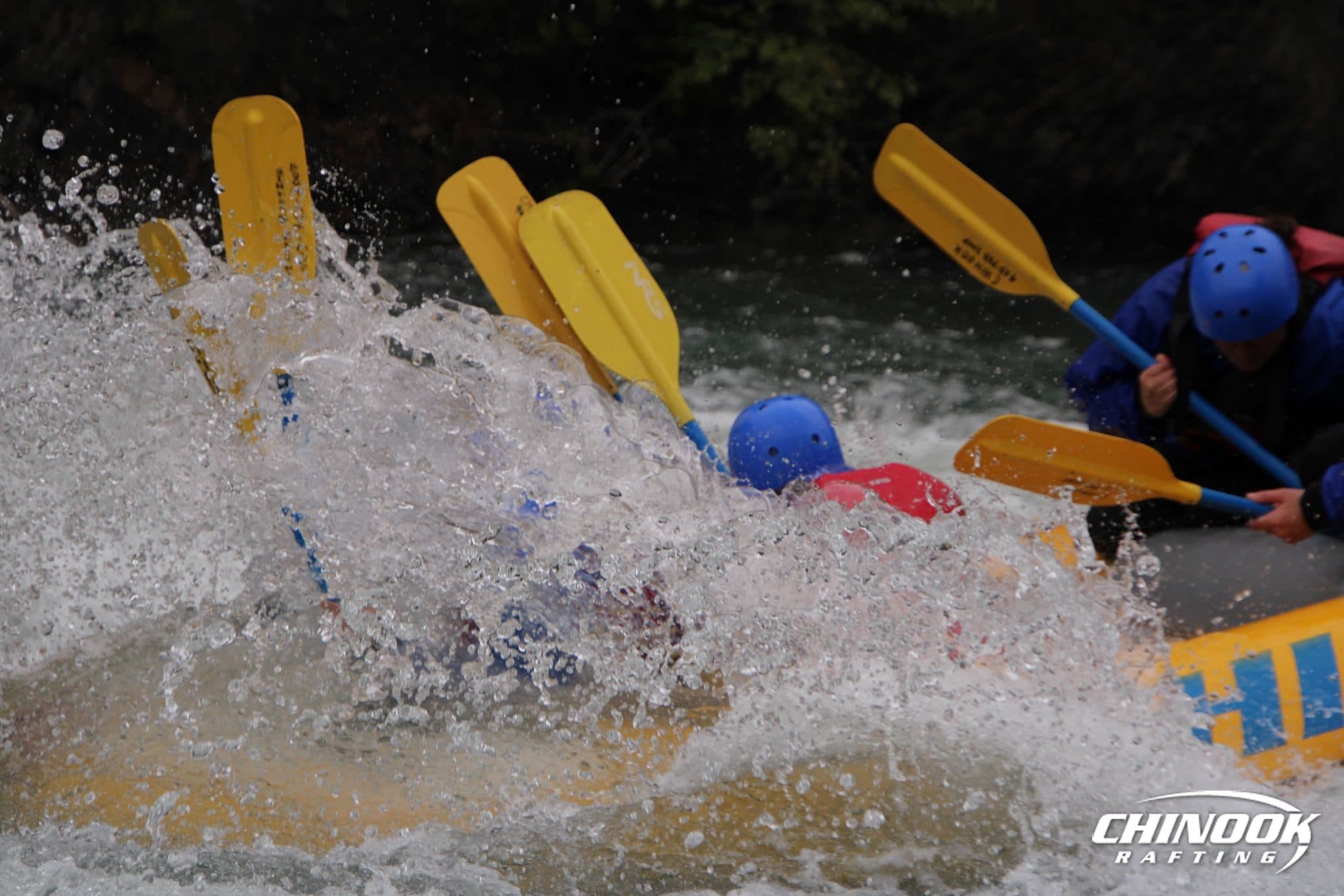 Signature Splash — 2026-06-22 — imported [gd:1HN-1ZL613fq0aFSXHotu00J6XnuP1G9-]