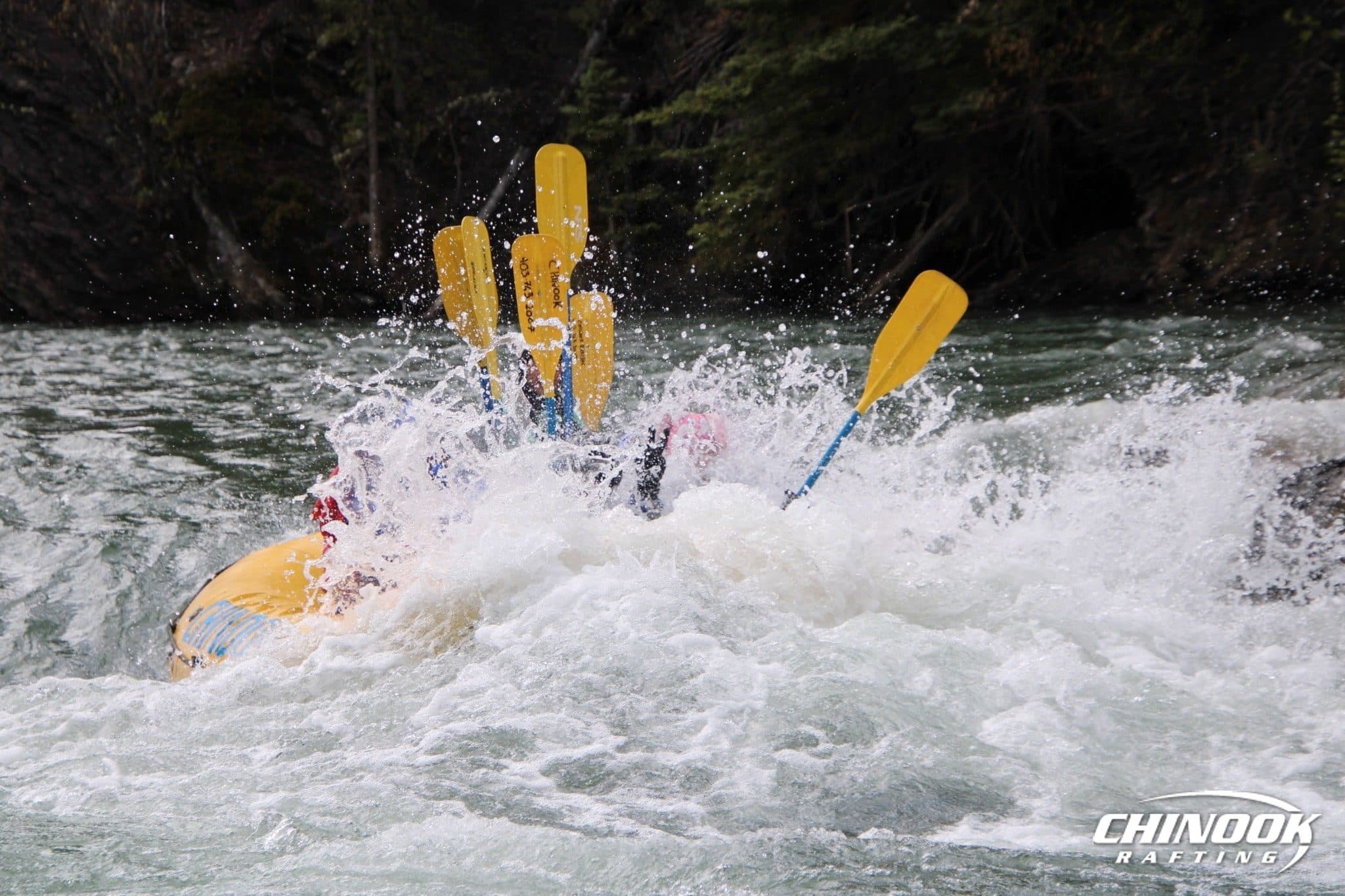 Kananaskis River — 2026-05-17 — imported [gd:1IC_LiYh2h0qnEj8TY-_z8VzD-I9Klbi6]