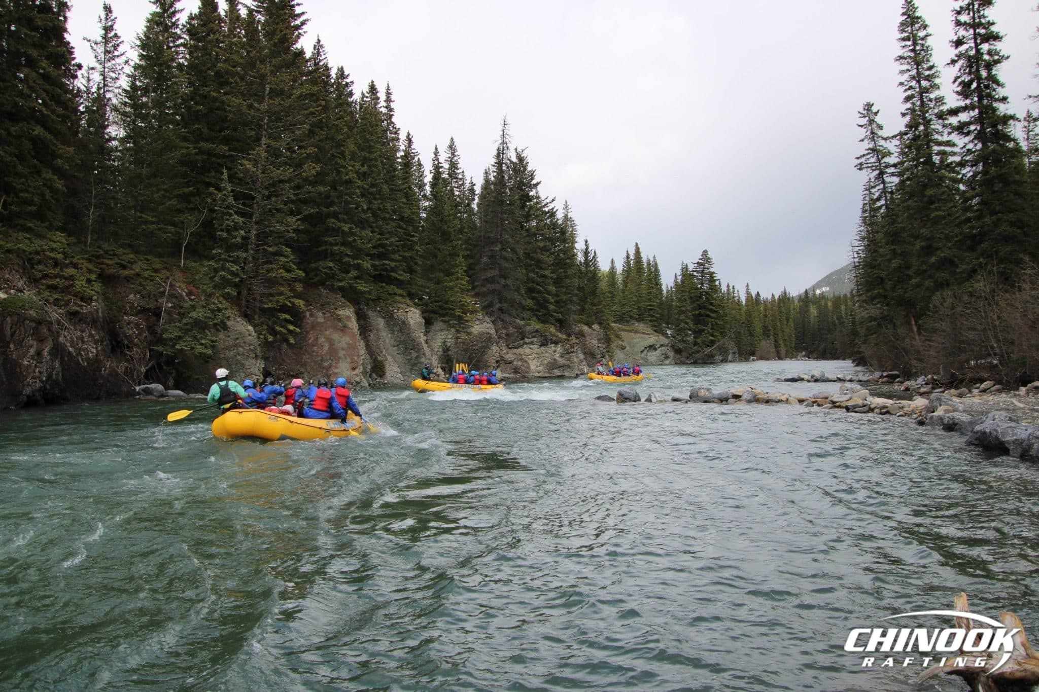 Kananaskis River — 2026-05-17 — imported [gd:1JLetf02bL5JBPdeJ83-g2XfhCwi40ZmA]