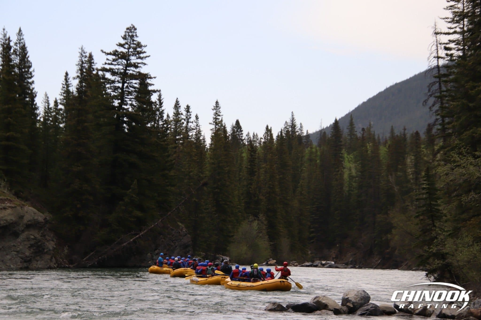 Kananaskis River — 2026-05-26 — imported [gd:1WCIqHZ6nVfdNBRcKxT4VfR5XR9xyx1Hk]