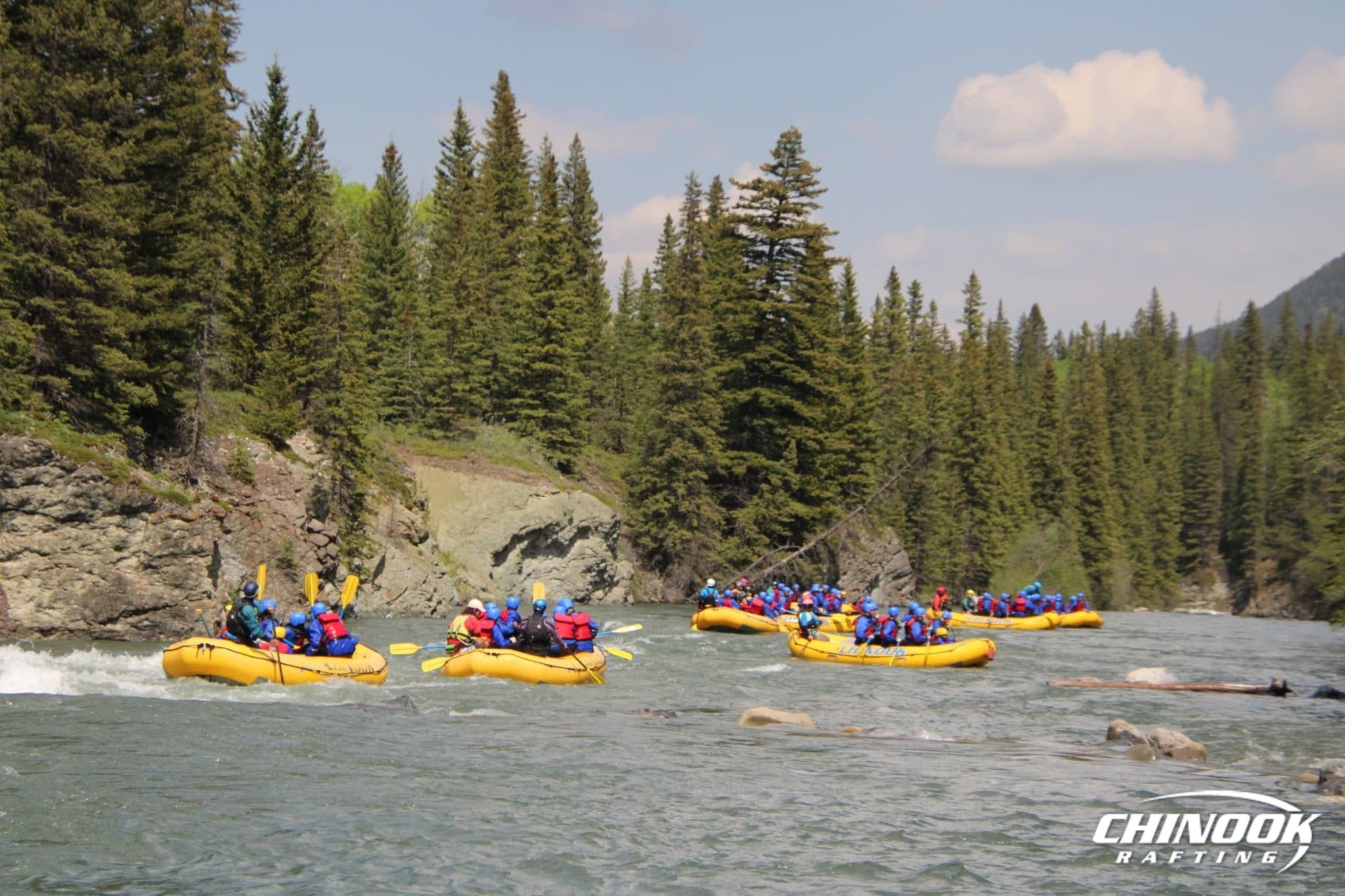 Kananaskis River — 2026-05-28 — imported [gd:1mQmkZumQmdaIIhiXChdsfiLQQz0KIsJe]