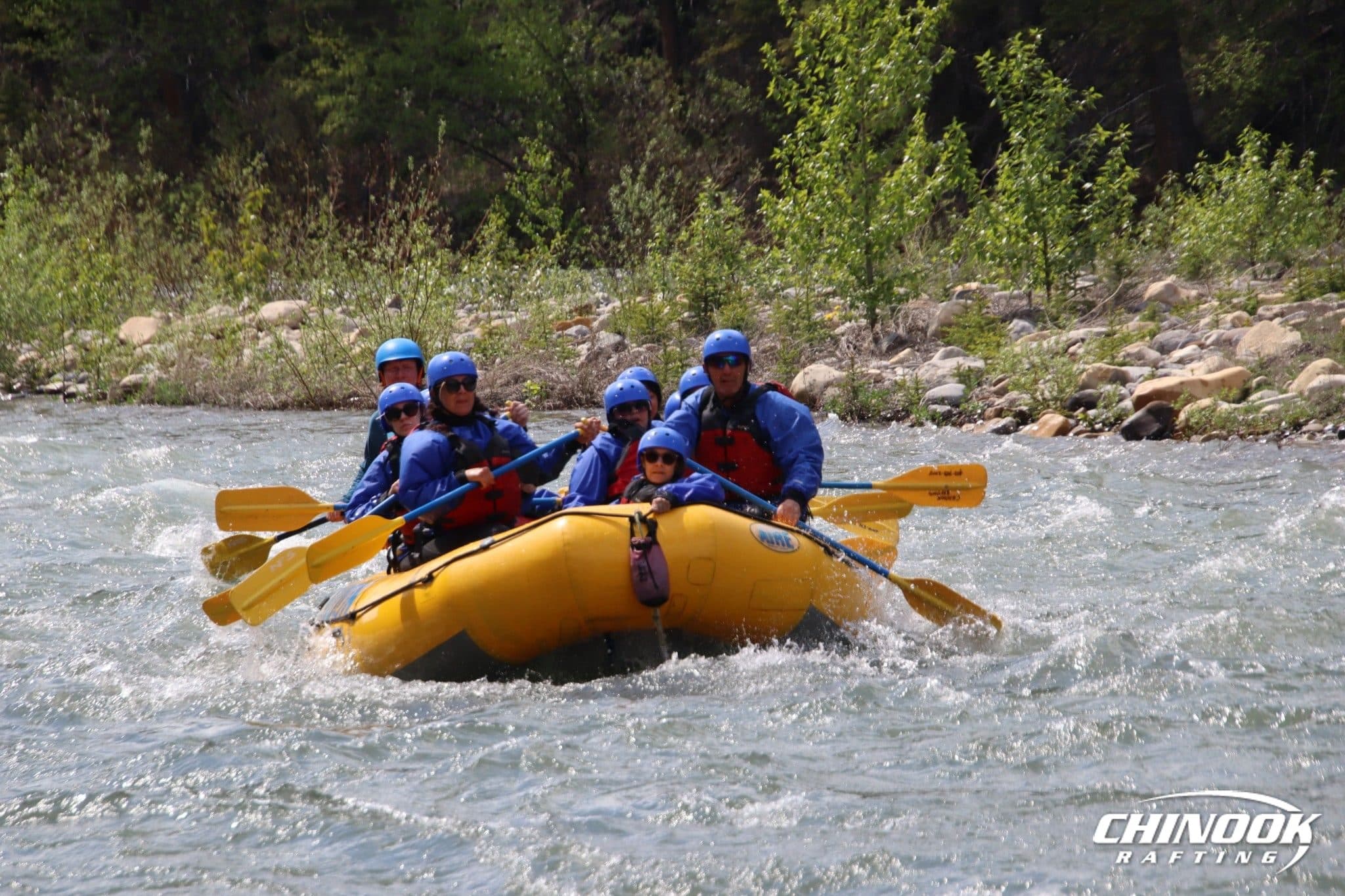 Kananaskis River — 2026-05-28 — imported [gd:1T0-exbfWkBHEtXA0hPgDaoxH50ACXml0]
