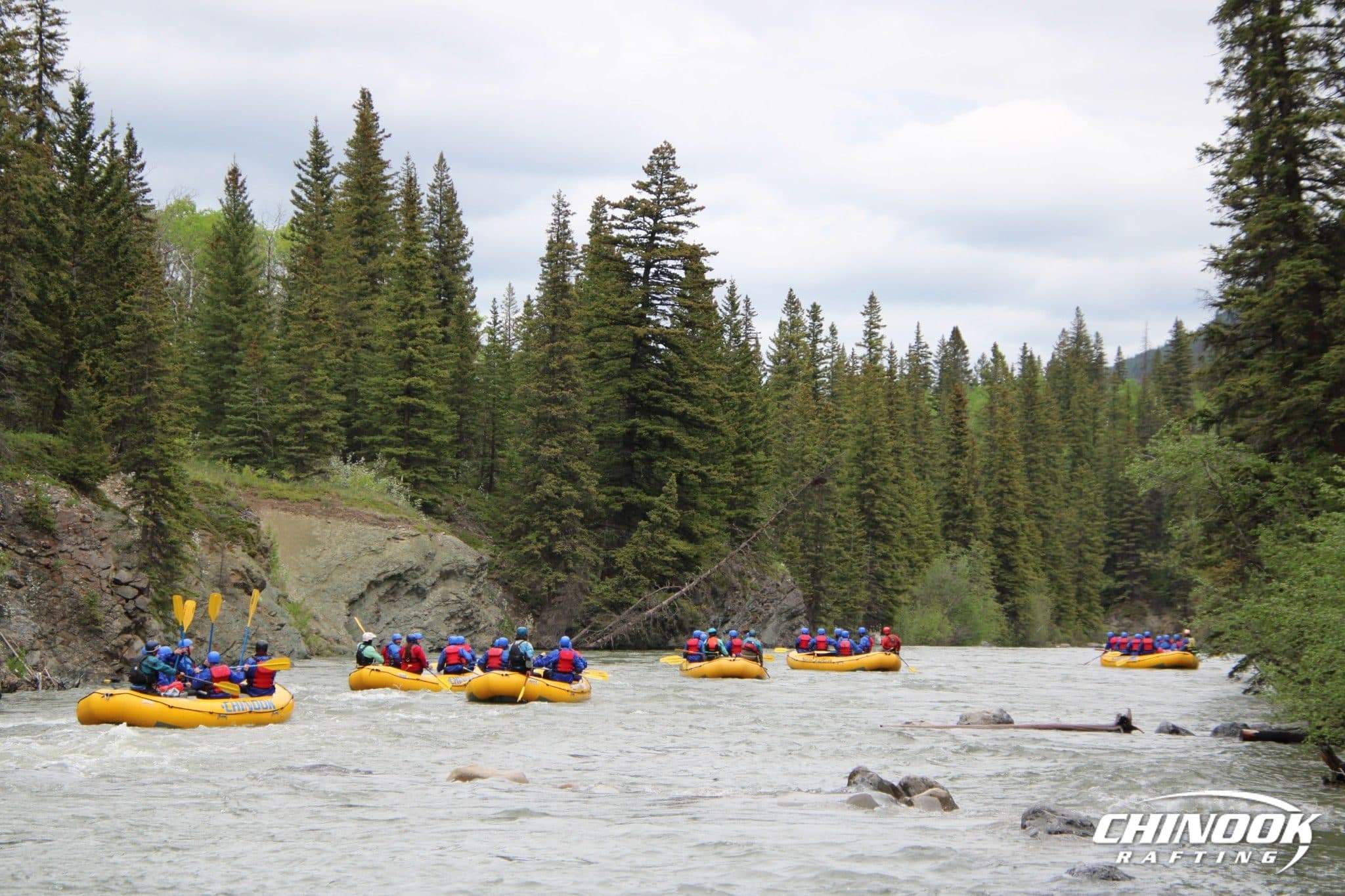 Kananaskis River — 2026-05-30 — imported [gd:1VTIqlw94_x-qx9chIlMIP0p1Z6d--VKr]