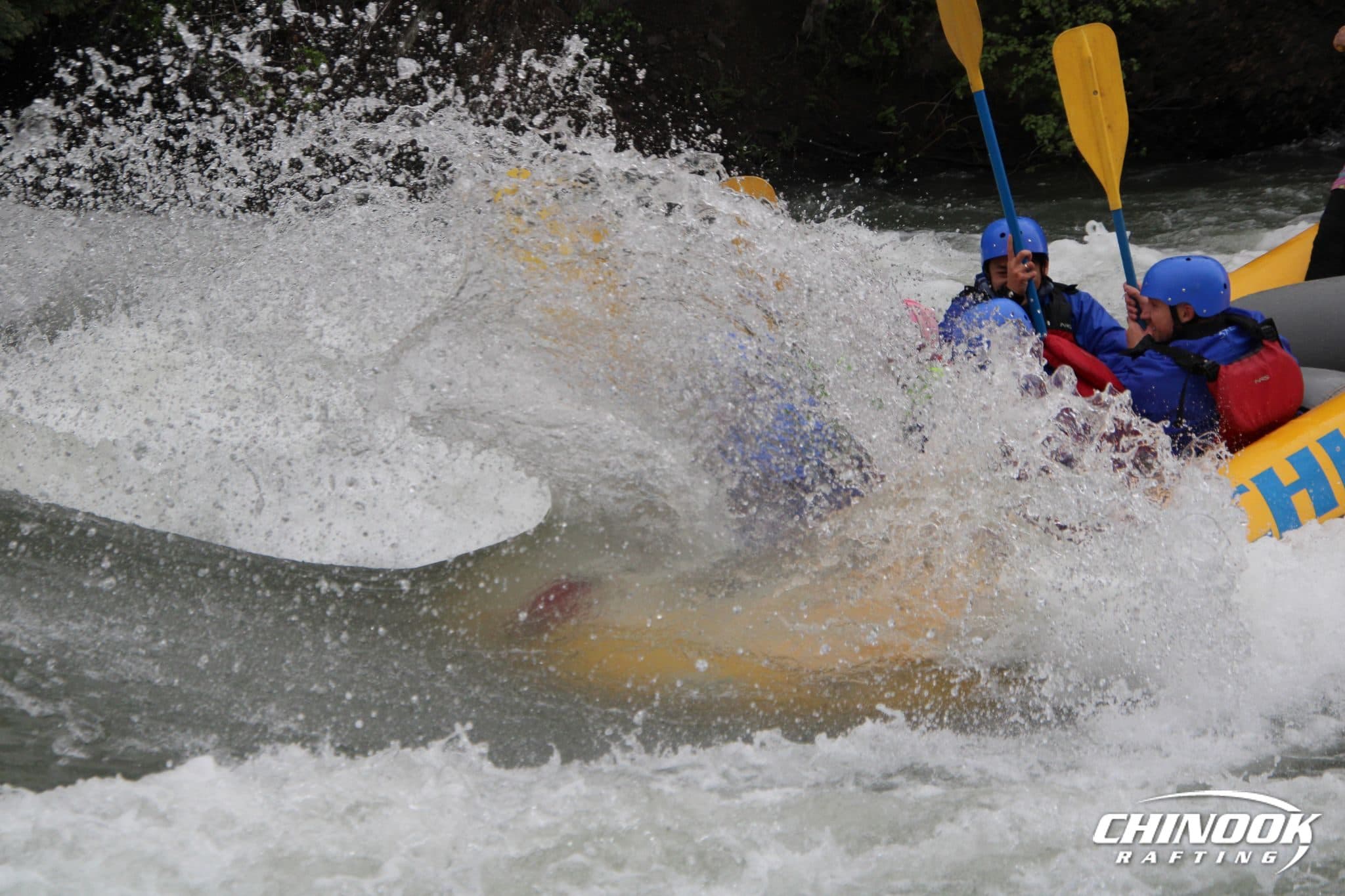 Signature Splash — 2026-05-30 — imported [gd:14CHbx_Psh2jDfaNYBiUw_pGi4fRz04e-]
