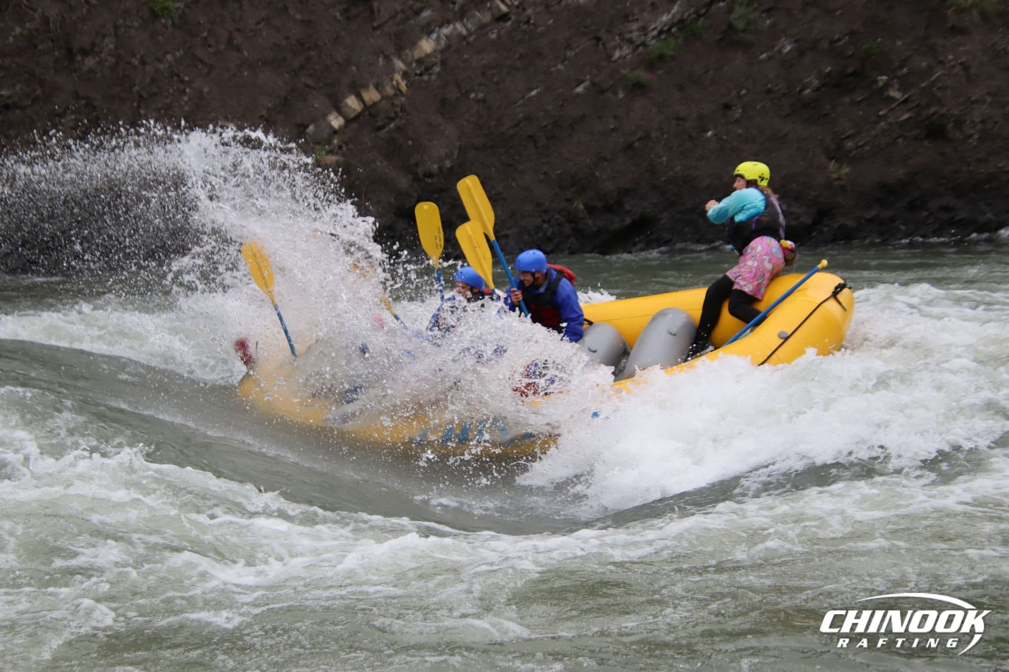 Signature Splash — 2026-05-30 — imported [gd:1ol1jT9u1uK6Dbrpd6sJwZAL5aX6hH-G7]