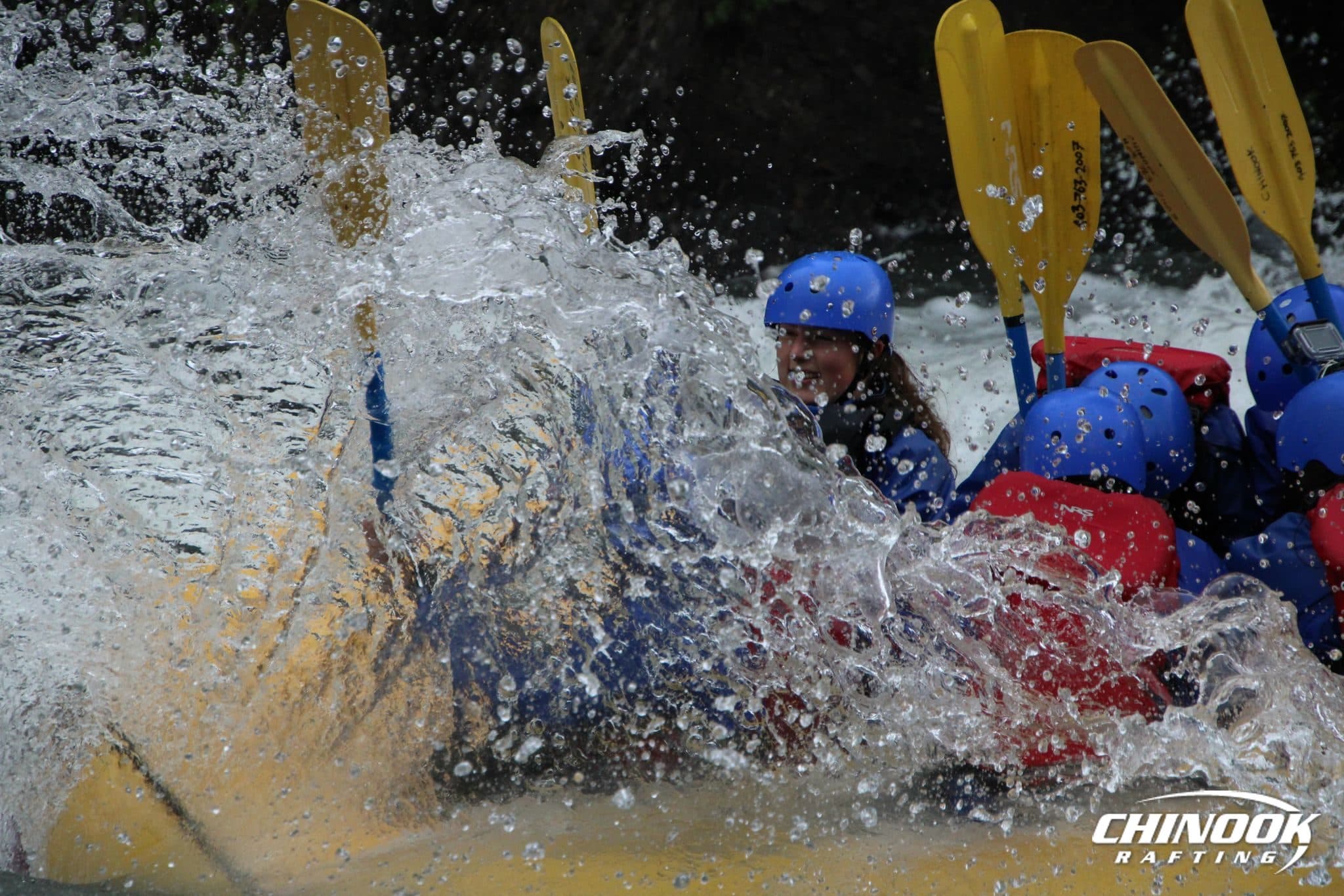 Signature Splash — 2026-05-30 — imported [gd:1UdKXPHvtu7jUmnhqiHp7RzM4mOayB7z3]