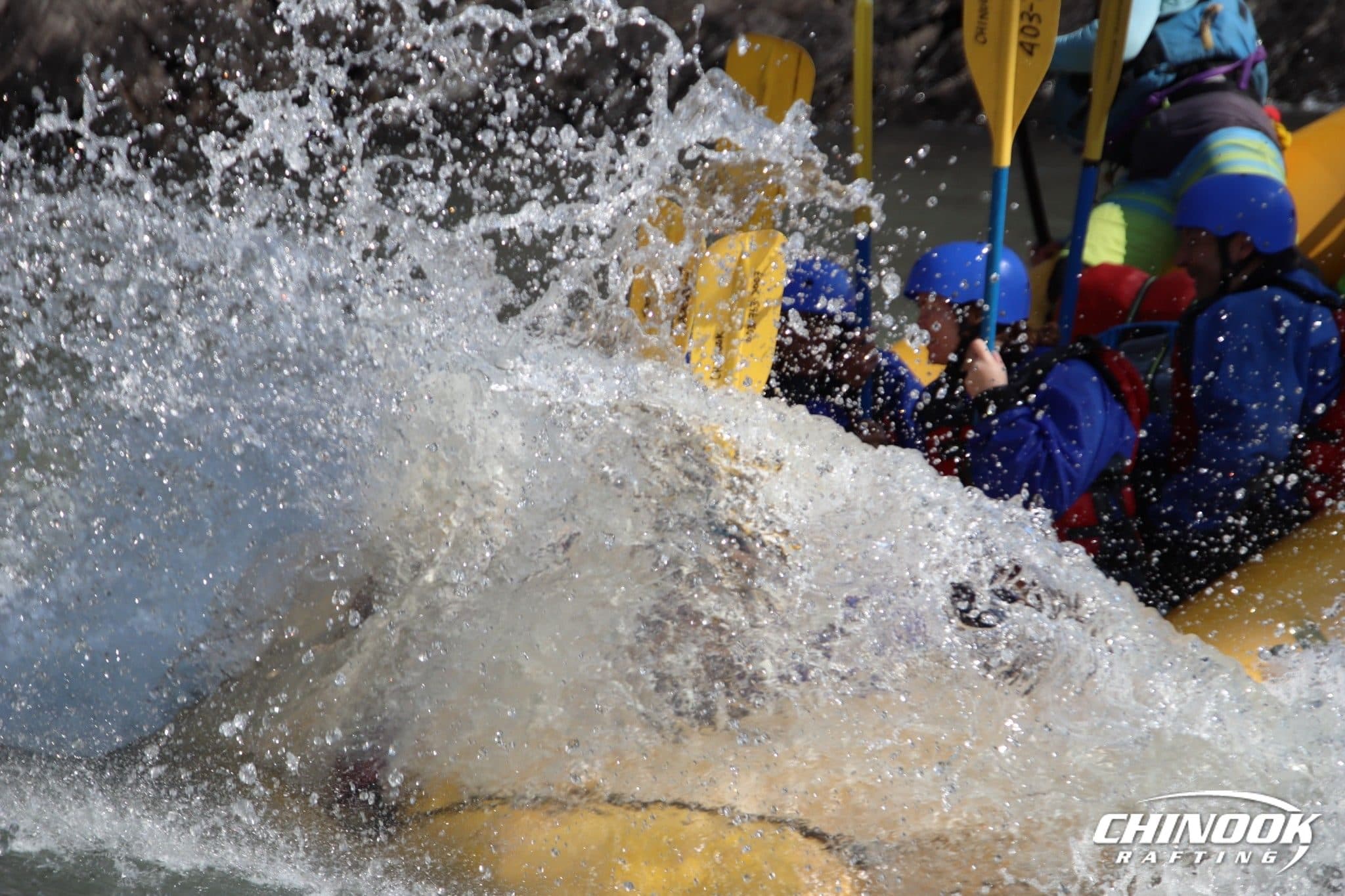 Signature Splash — 2026-07-21 — imported [gd:1-zyw6E9dZnRLCIkzeJHeLulGxpTdzj8D]