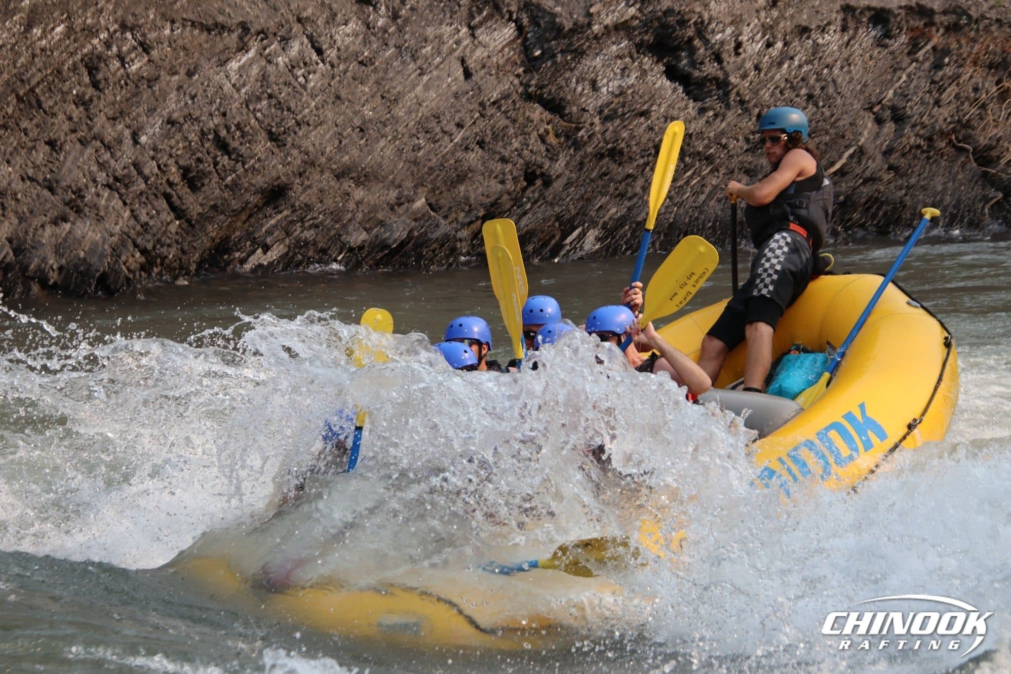 Signature Splash — 2026-07-22 — imported [gd:1BB2Ly0bsa8jTg0Pppx66PYT7spCPSjfO]