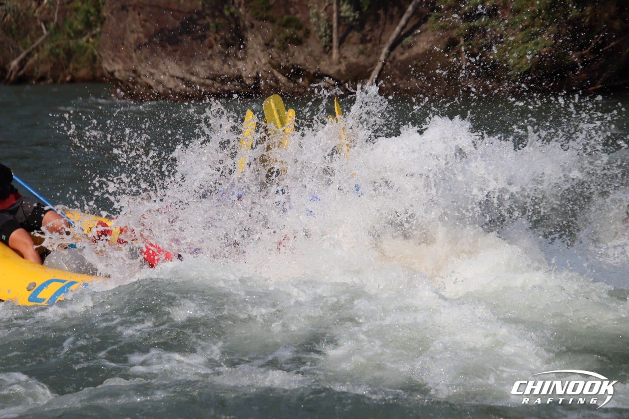 Signature Splash — 2026-07-26 — imported [gd:1U5qc7wecwultqClJ_qmKD-KLhkNdlEaM]