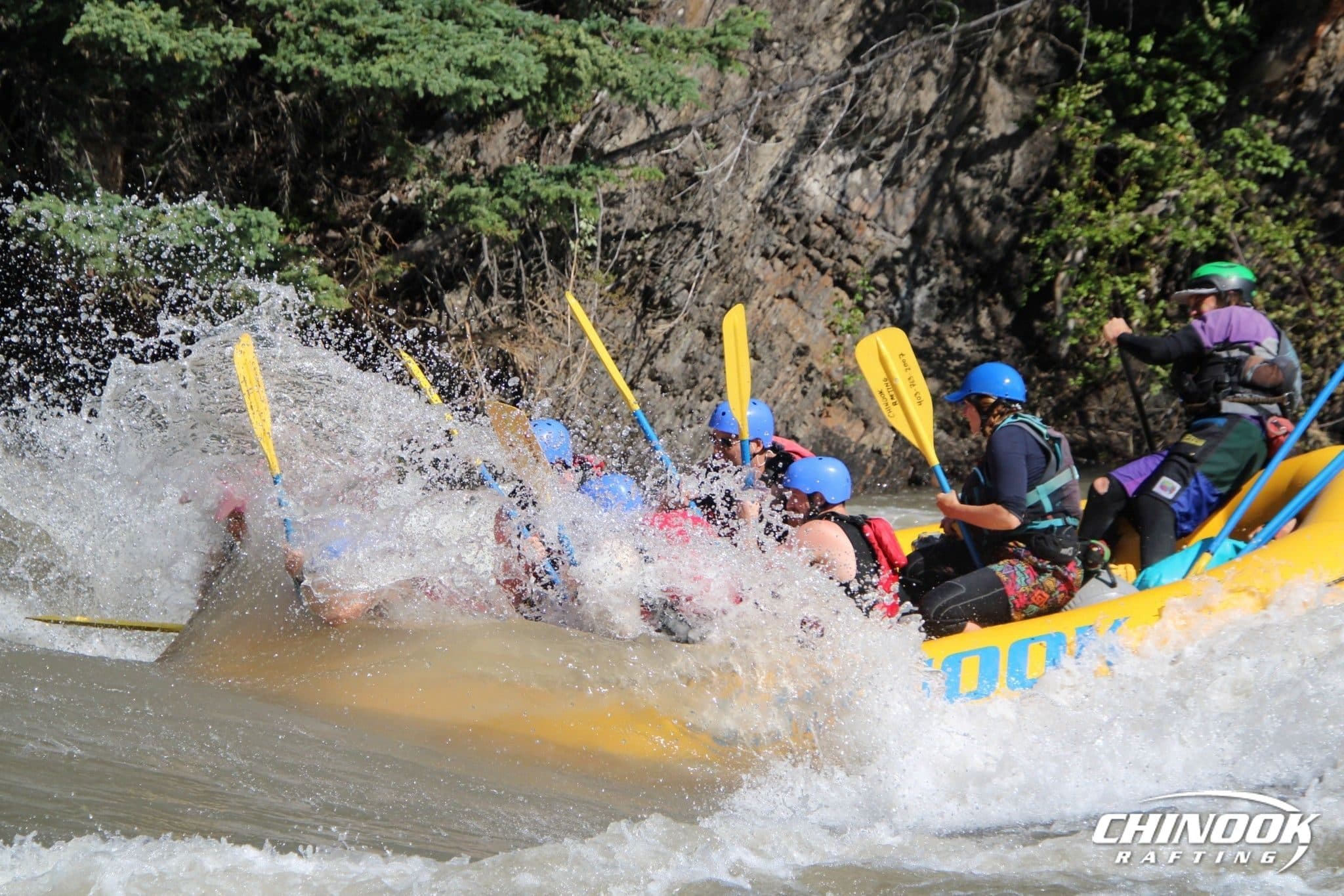 Signature Splash — 2026-07-09 — imported [gd:1oQMHKYEXUGmUrDQsngtTl1d91qCwFZOY]