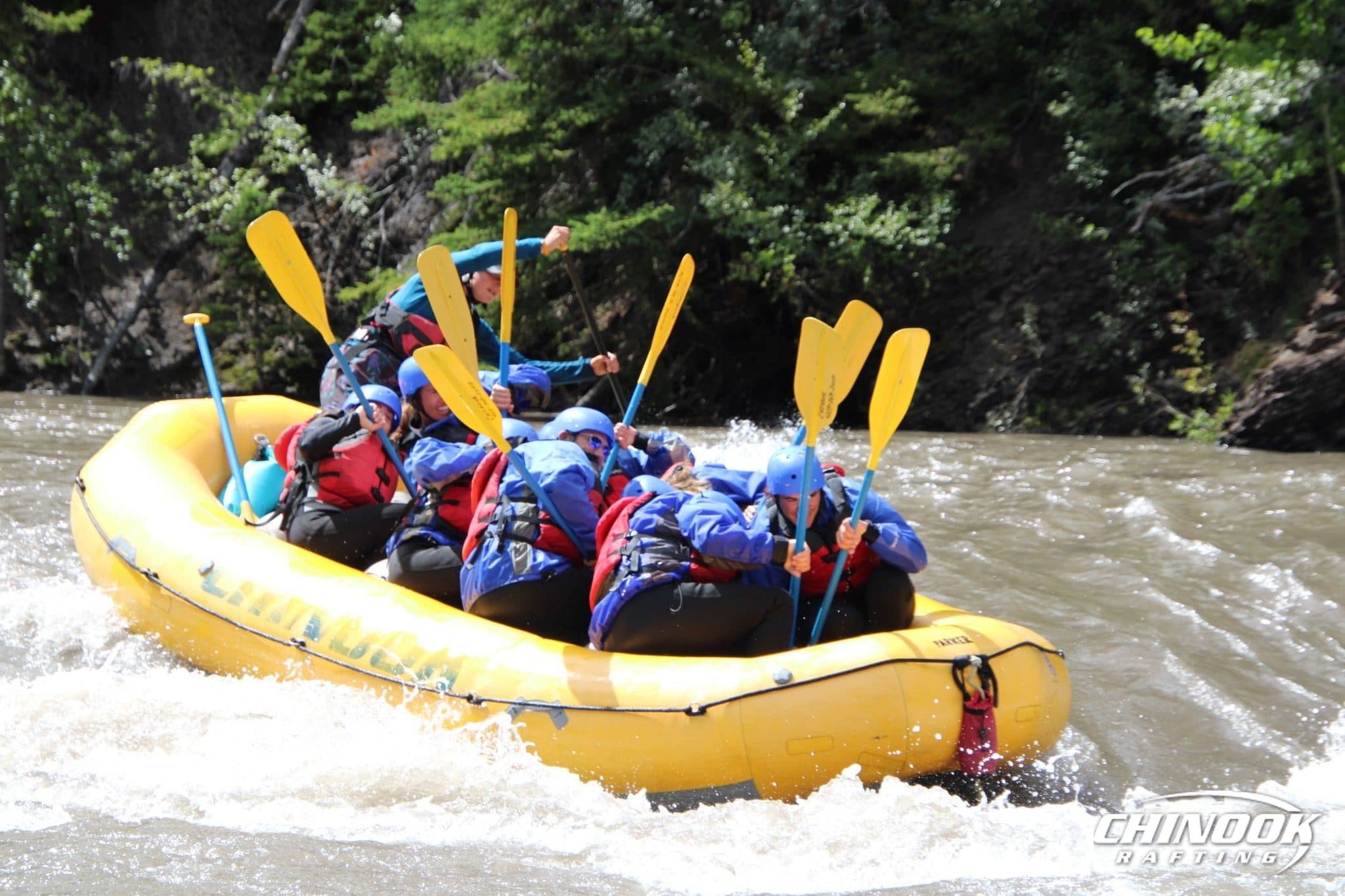 Kananaskis River — 2026-07-10 — imported [gd:176nYJDeuXGDt3CjpKA8C49s6l5UgrDib]