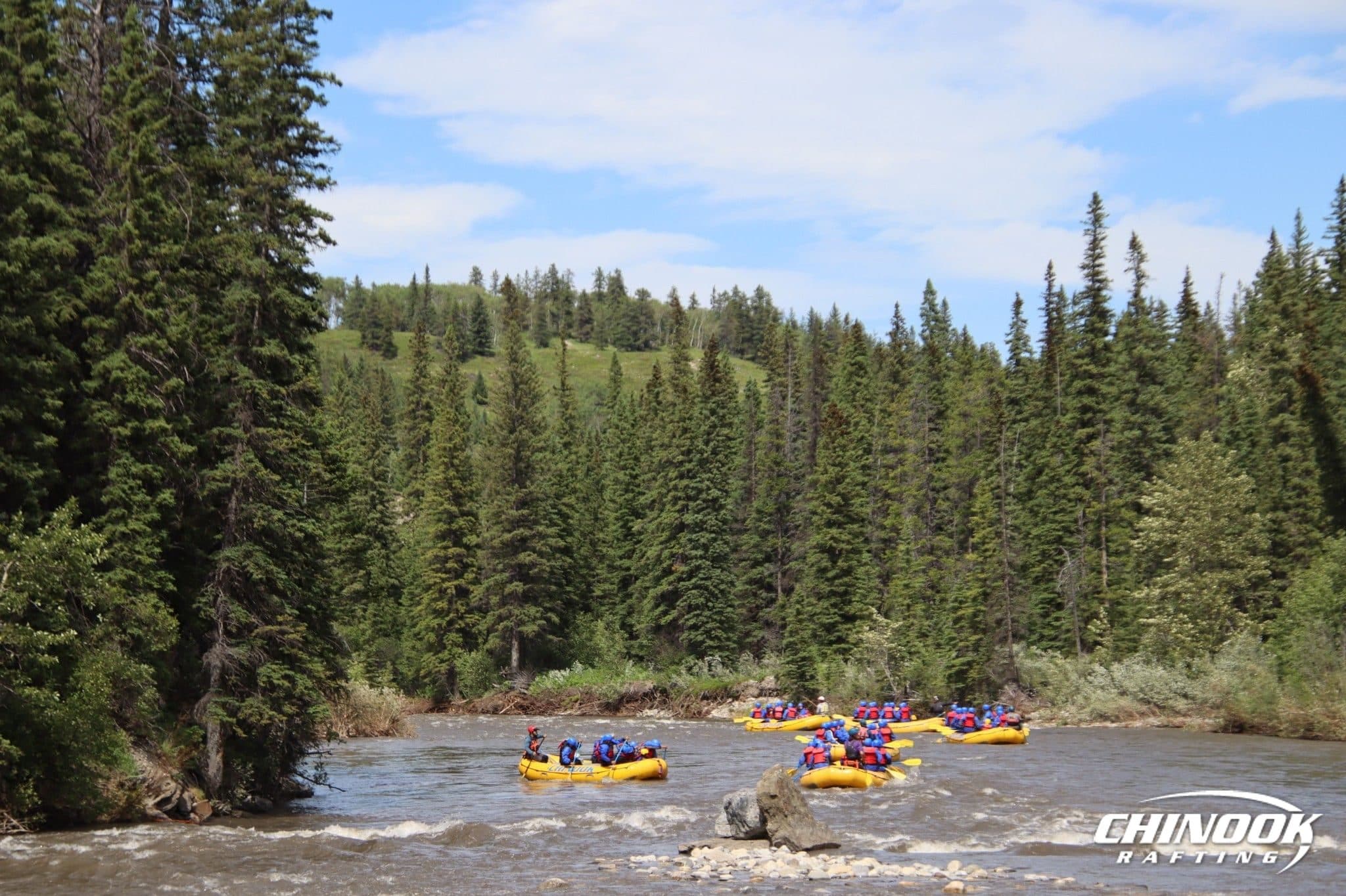 Kananaskis River — 2026-07-12 — imported [gd:1V5ENpXUfjzEgJI11flhEQnWO0JQvUSn9]