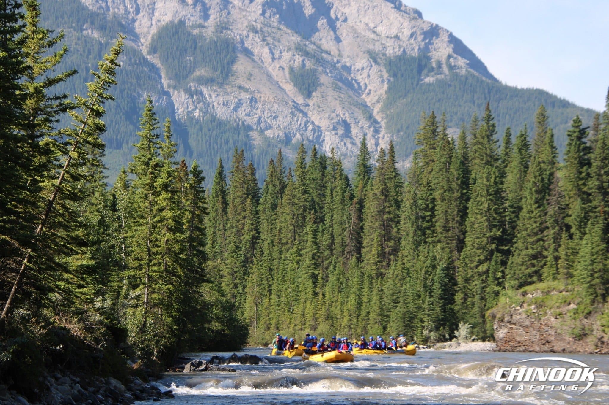 Kananaskis River — 2026-07-16 — imported [gd:175Knnb4c616ZpvnTNu9-VSEMIqwoO1dG]
