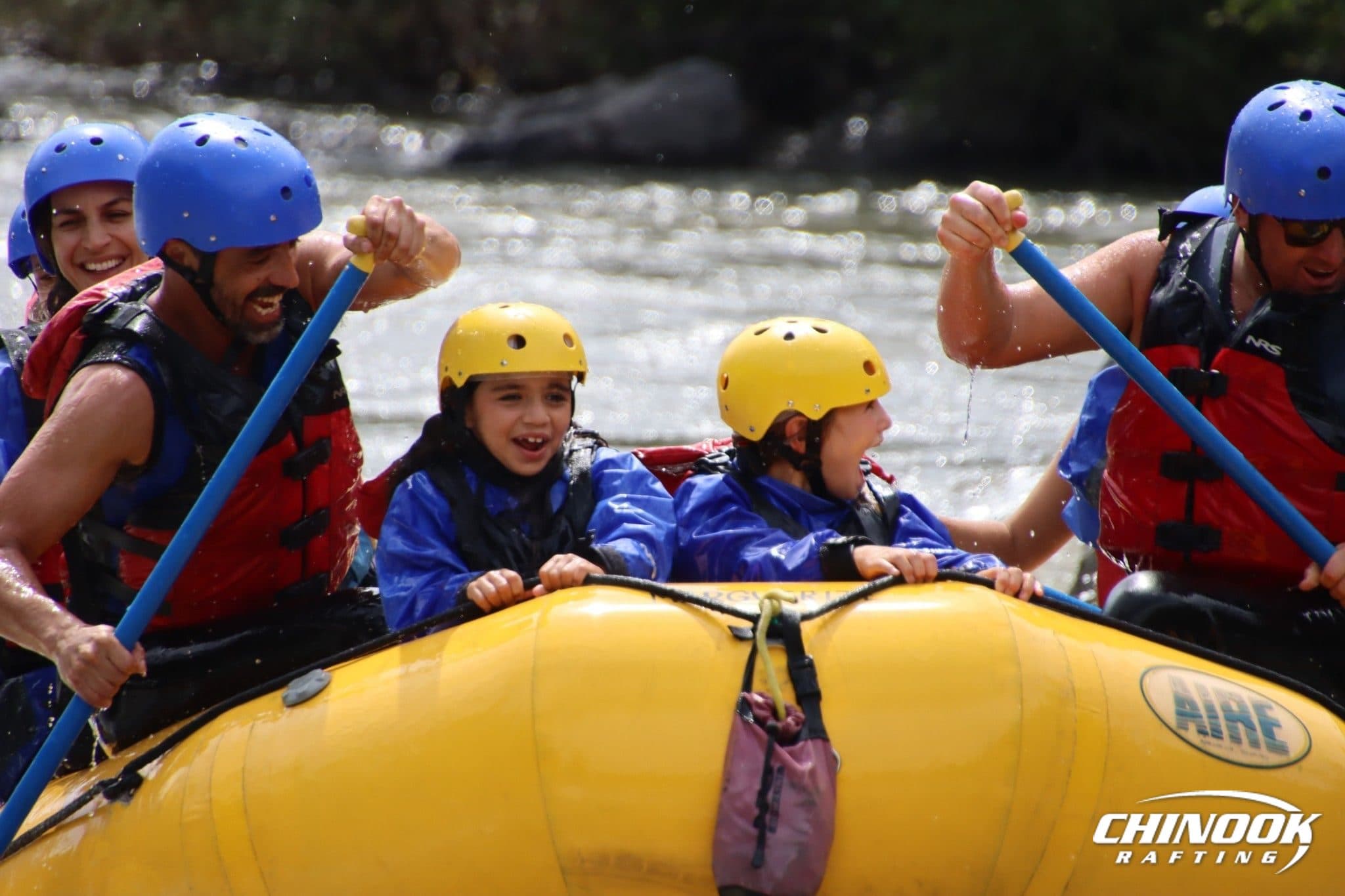 Kananaskis River — 2026-07-17 — imported [gd:1XCxL4NkFAgpIENreiLaPLGoME737targ]