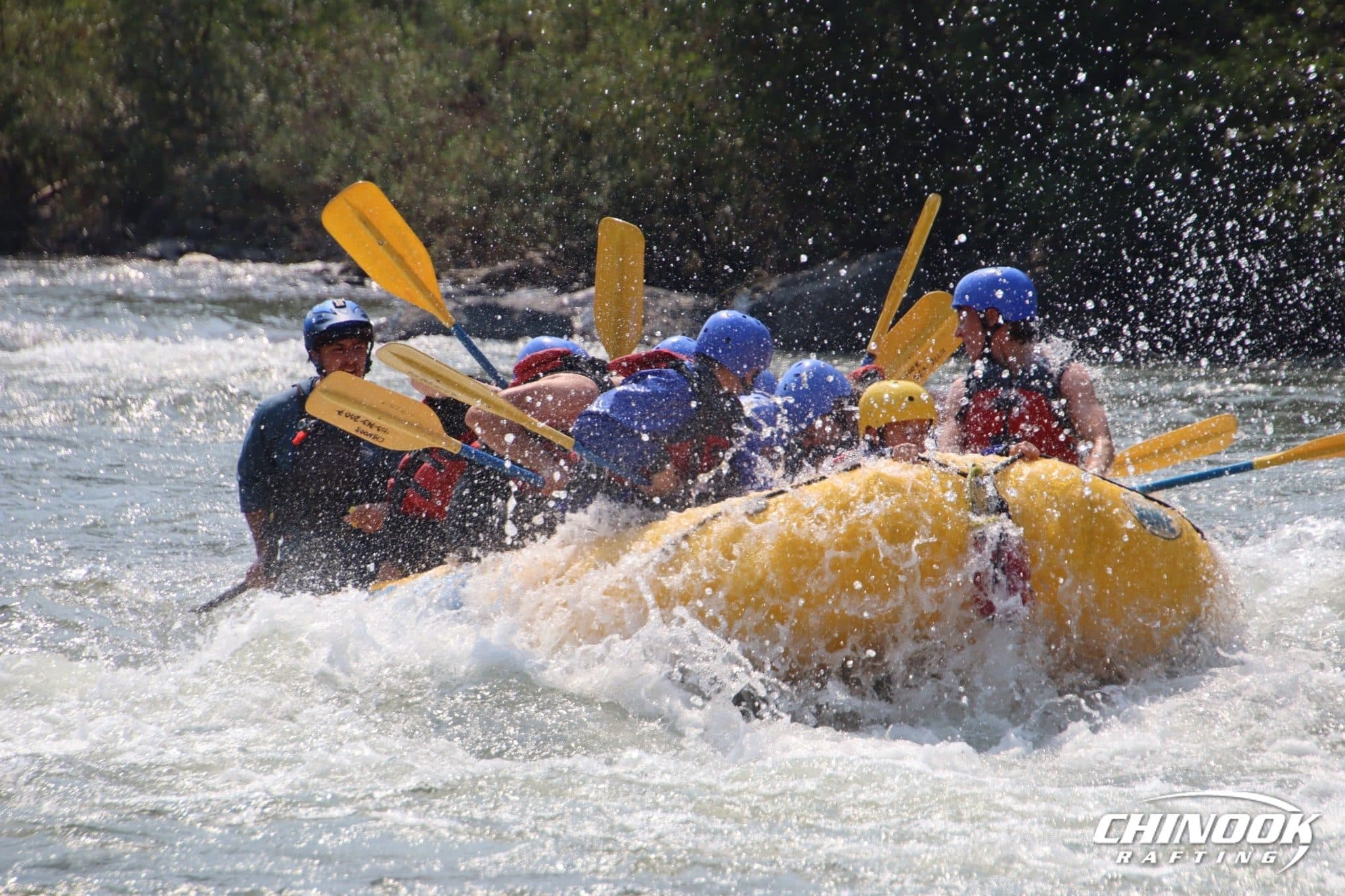 Kananaskis River — 2026-07-22 — imported [gd:1paA0W6Kr8jz7B2rMDPHpug5PKOXQqgWj]