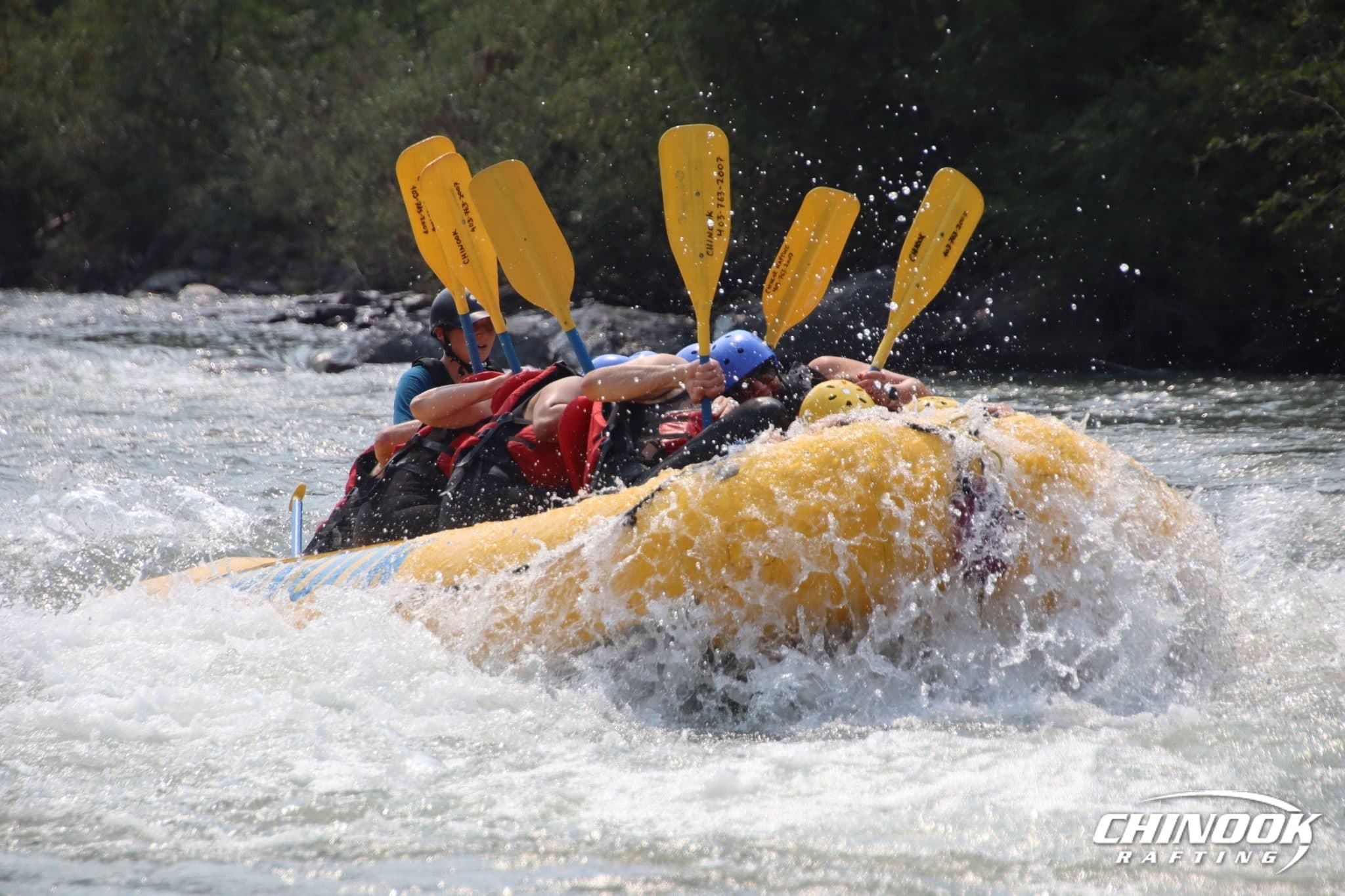Kananaskis River — 2026-07-22 — imported [gd:19X3Sz1I9RIglsxfp6FGxeHfDM_Hspaem]