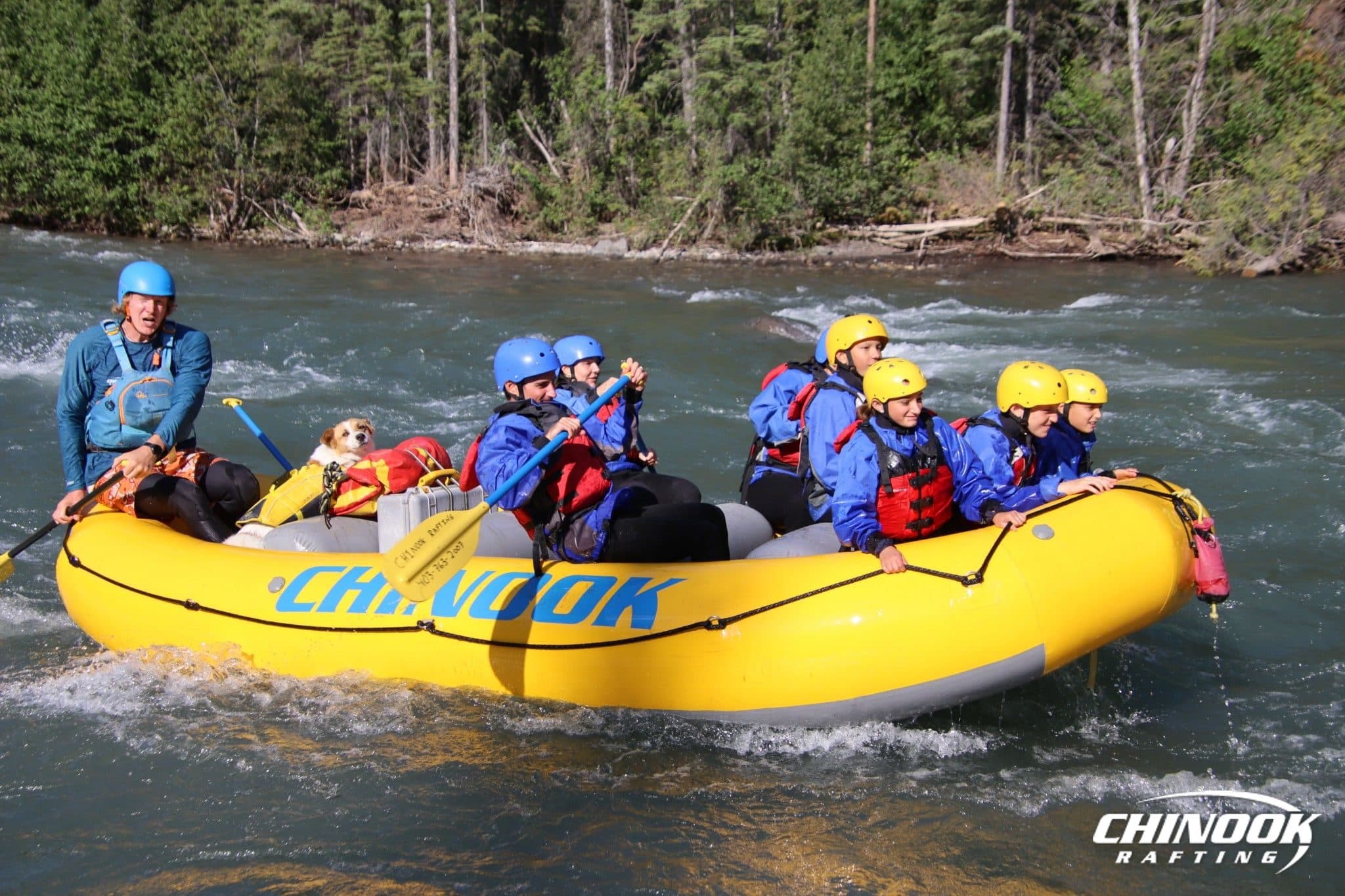 Kananaskis River — 2026-07-29 — imported [gd:1-dIK0ptOWAy8-sdQh_ifd4D7QO-jWxuz]
