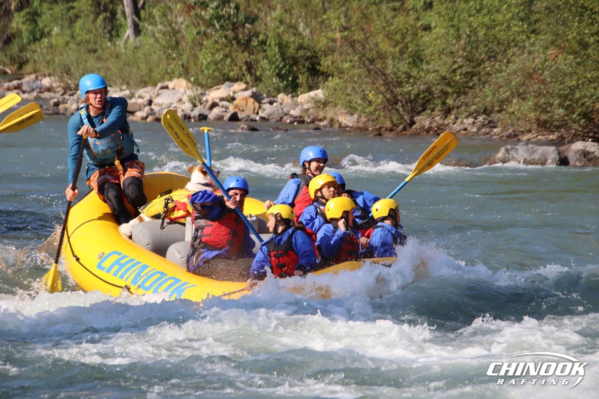 Kananaskis River — 2026-07-29 — imported [gd:1YDXfOcxd-WgiJAr0MVQbfgOgo12VbflE]