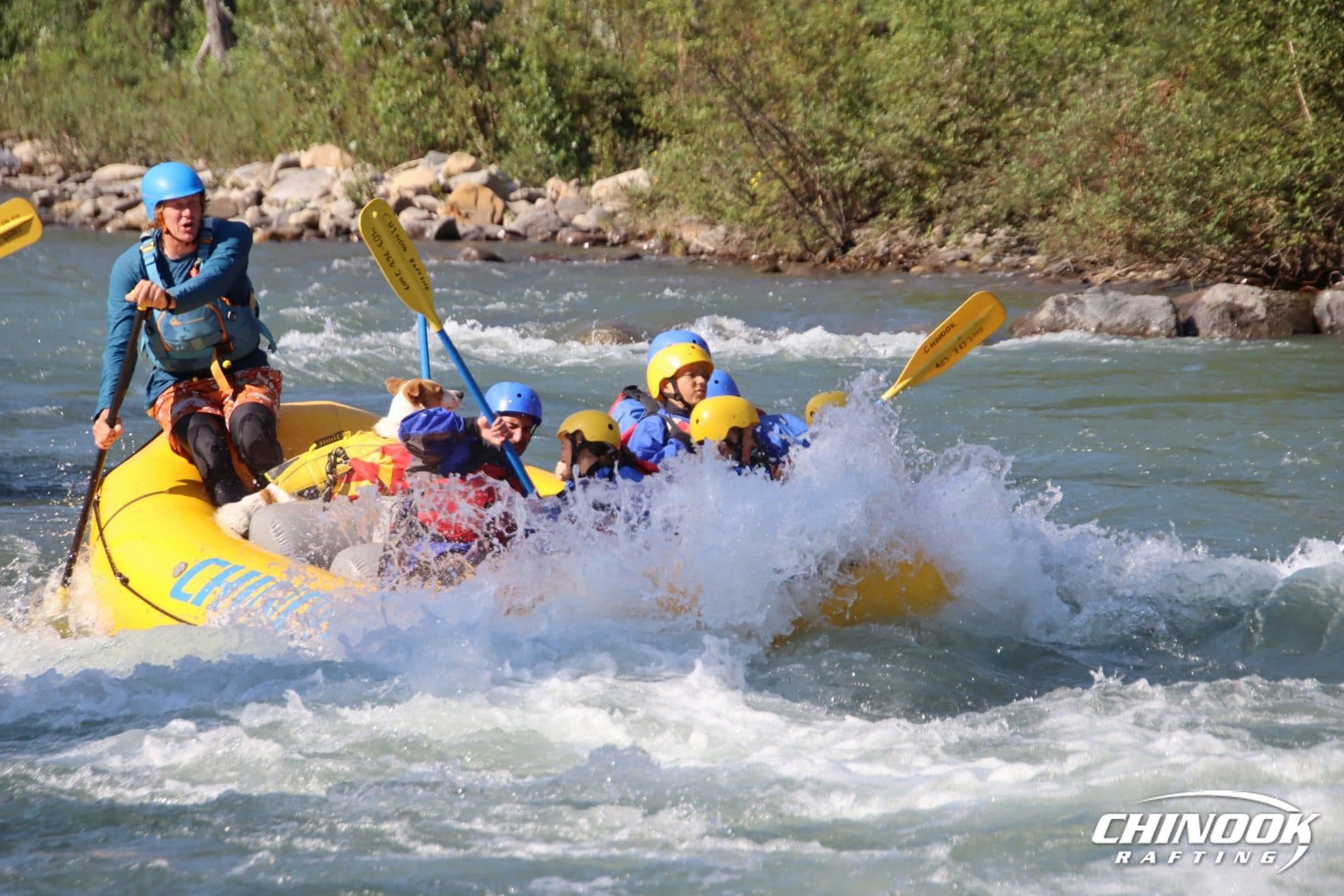 Kananaskis River — 2026-07-29 — imported [gd:17HLBENoIHGL43q3fVGi66zqIX_NSlwHd]