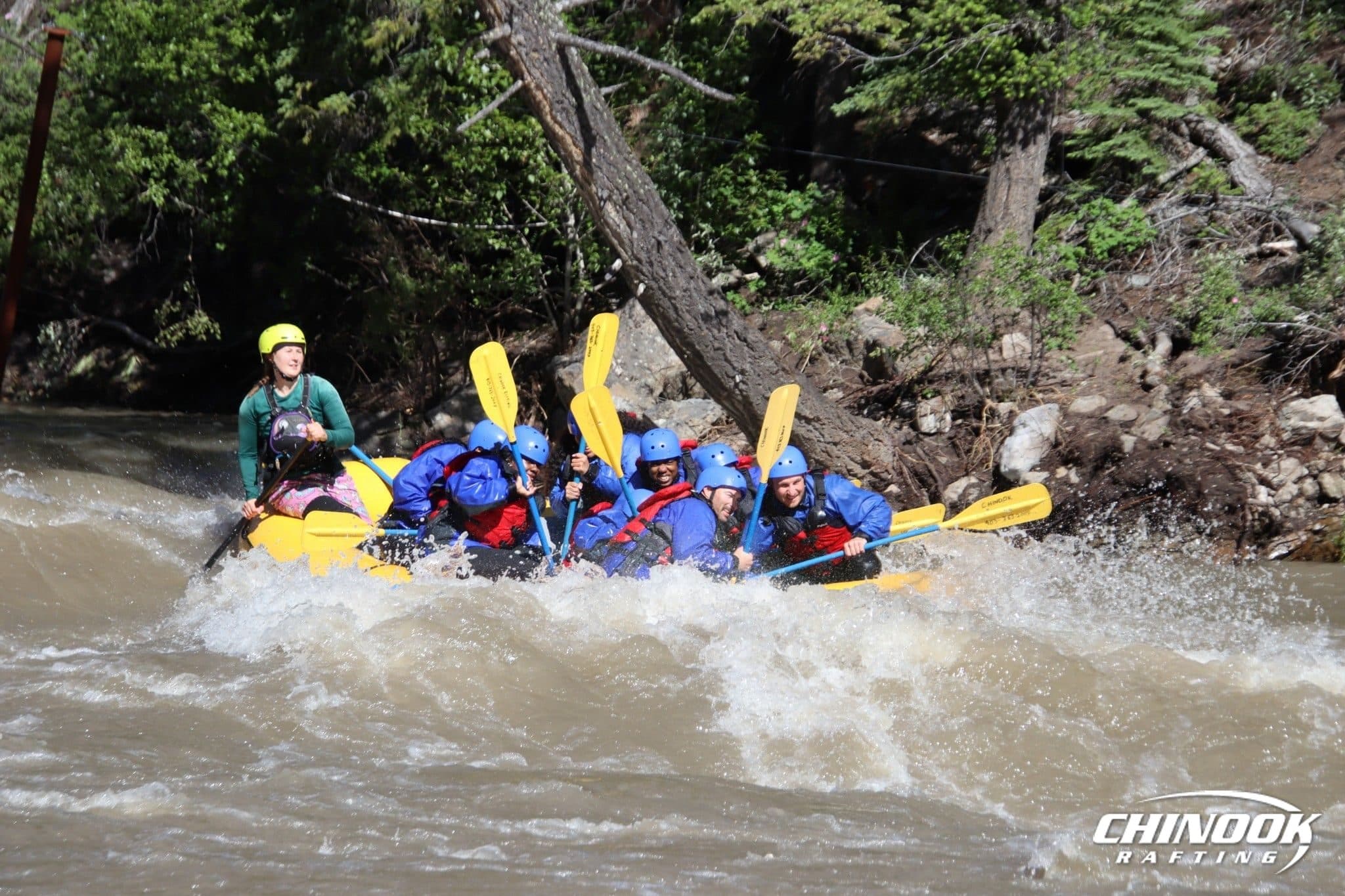 Kananaskis River — 2026-07-03 — imported [gd:1NY79Xh48rnJcT_S9wCltS8fm0UoYYM8l]