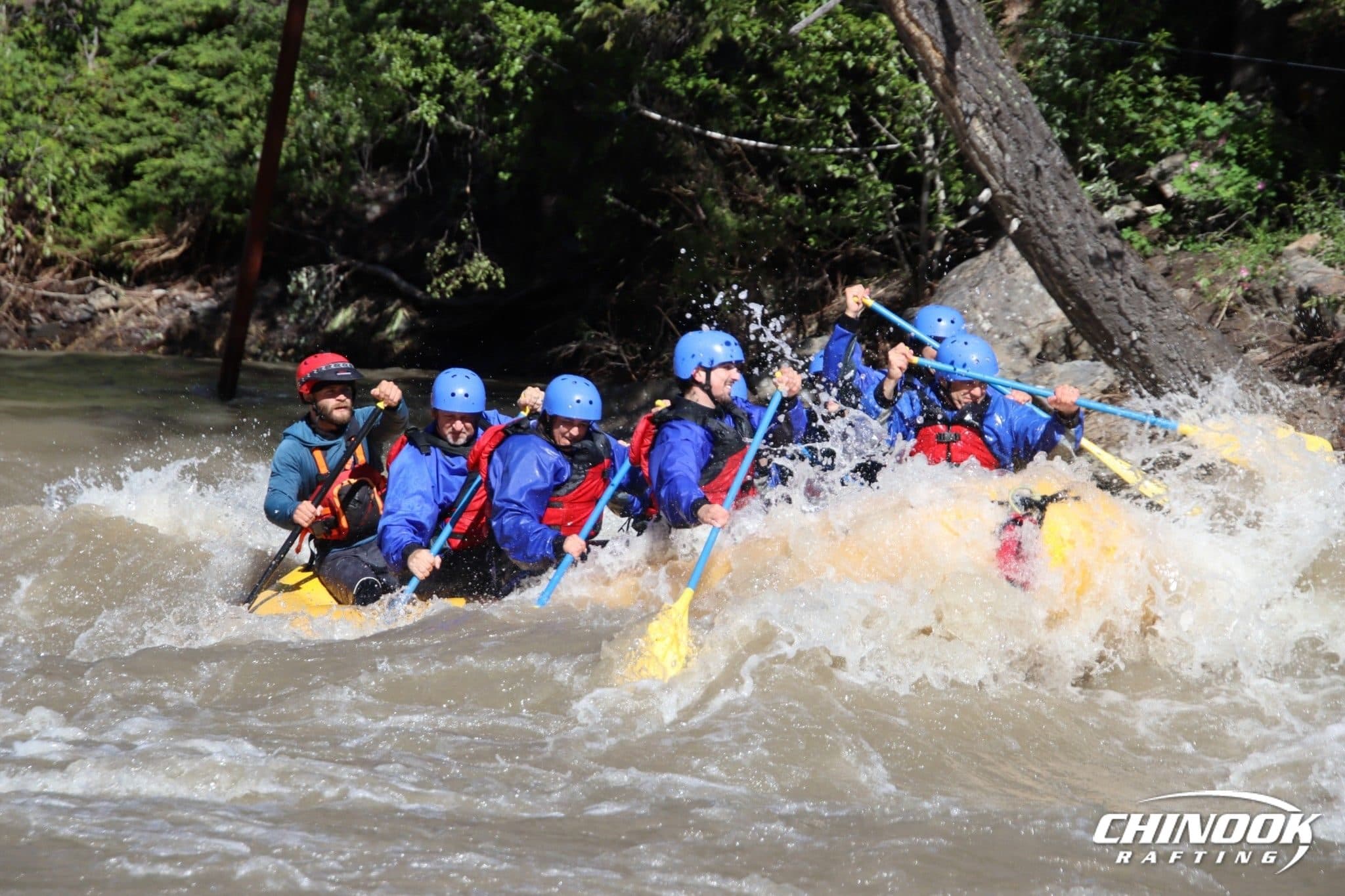 Kananaskis River — 2026-07-03 — imported [gd:1dvmSpJw_i8CX2ChY1t6aWPZrZFkj4arz]