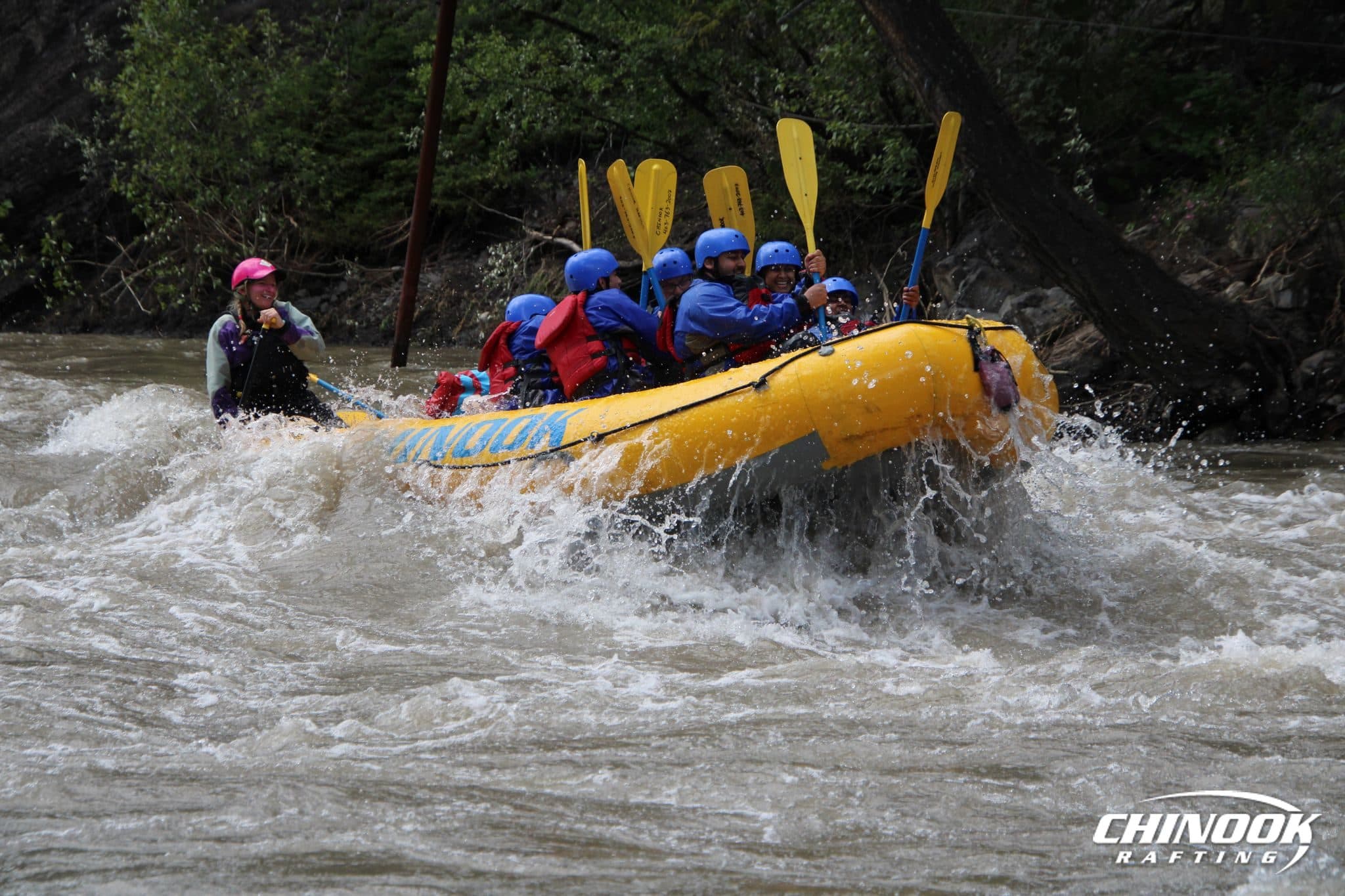 Kananaskis River — 2026-07-03 — imported [gd:1vAet3lC3Vmr7BM44z8UOX9W0Lrih_1m1]