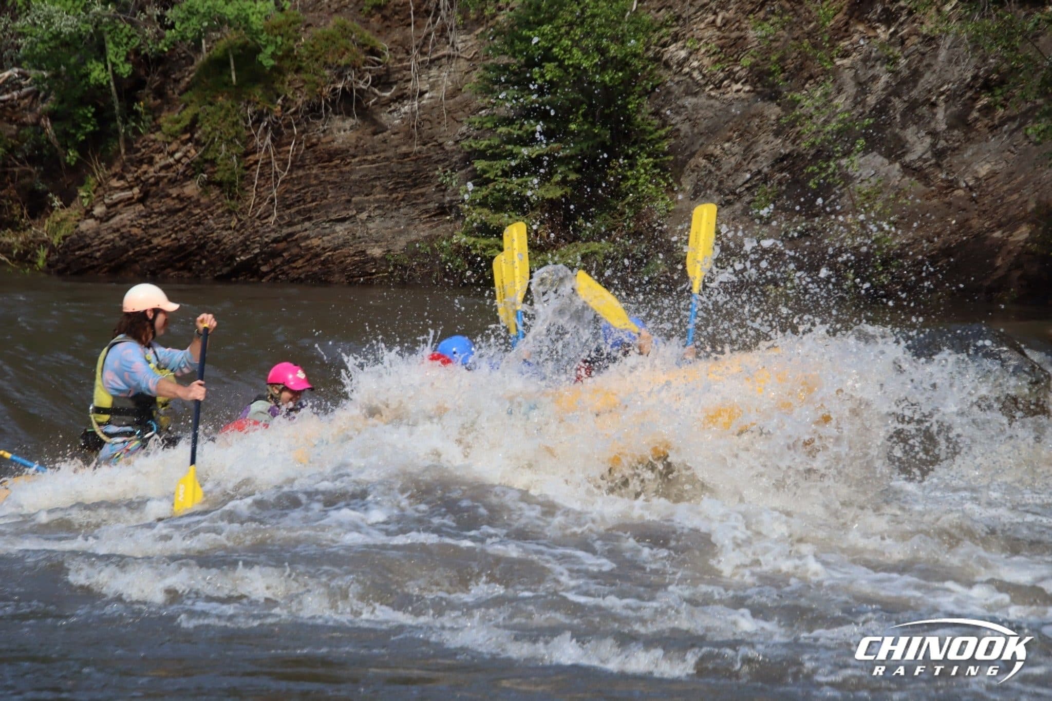 Signature Splash — 2026-07-10 — imported [gd:1XB5n2vjasSoKYbuN5yxxQz-41j1qFXN3]