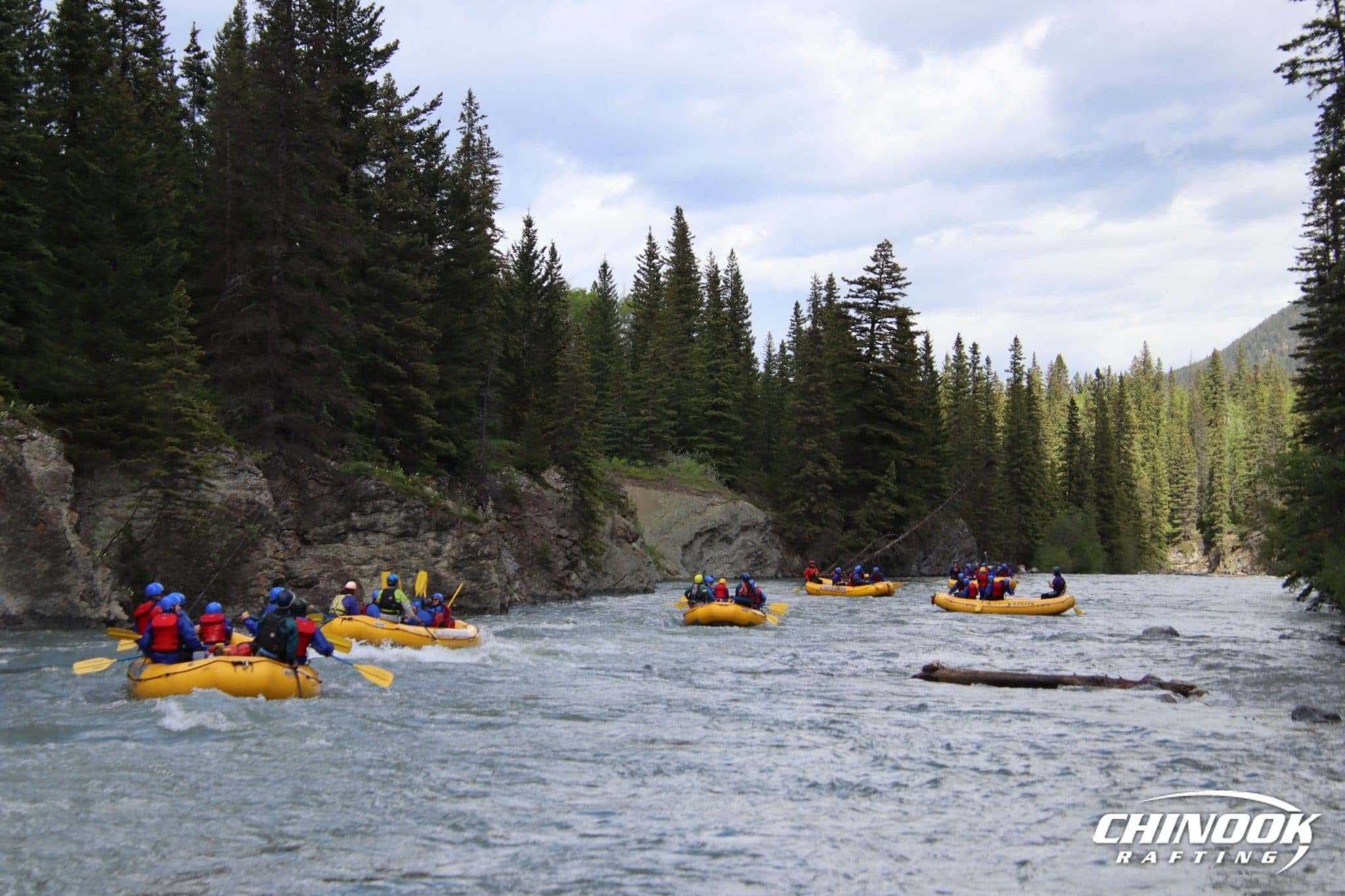 Kananaskis River — 2026-06-11 — imported [gd:1OoeNl4uT3x18L6YsUCJiVT0KPjOt9rVG]
