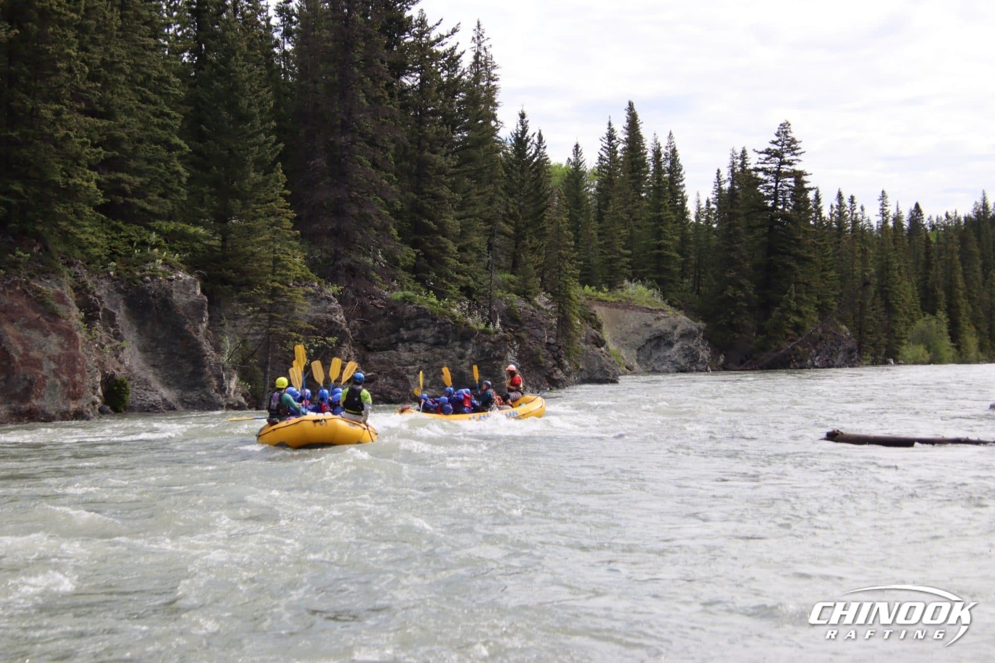 Kananaskis River — 2026-06-11 — imported [gd:1ypqLFlsxvJ7Tcd-O4fF7q8Oquqkr0P3V]
