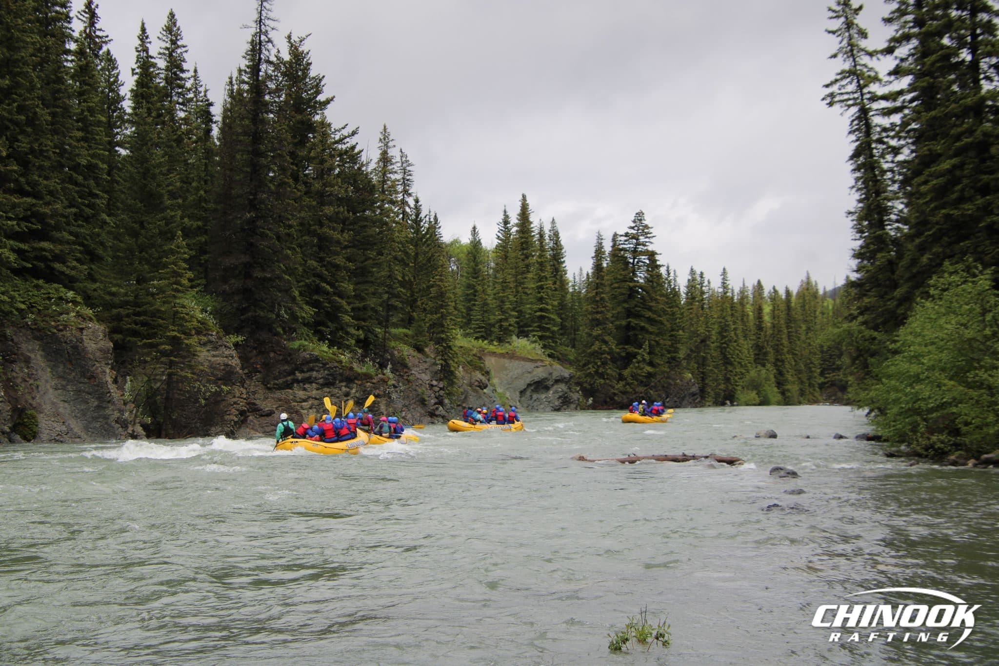 Kananaskis River — 2026-06-12 — imported [gd:1TU0VYKe7tWXKQDG6CO4WNP7bHp14ZkGU]