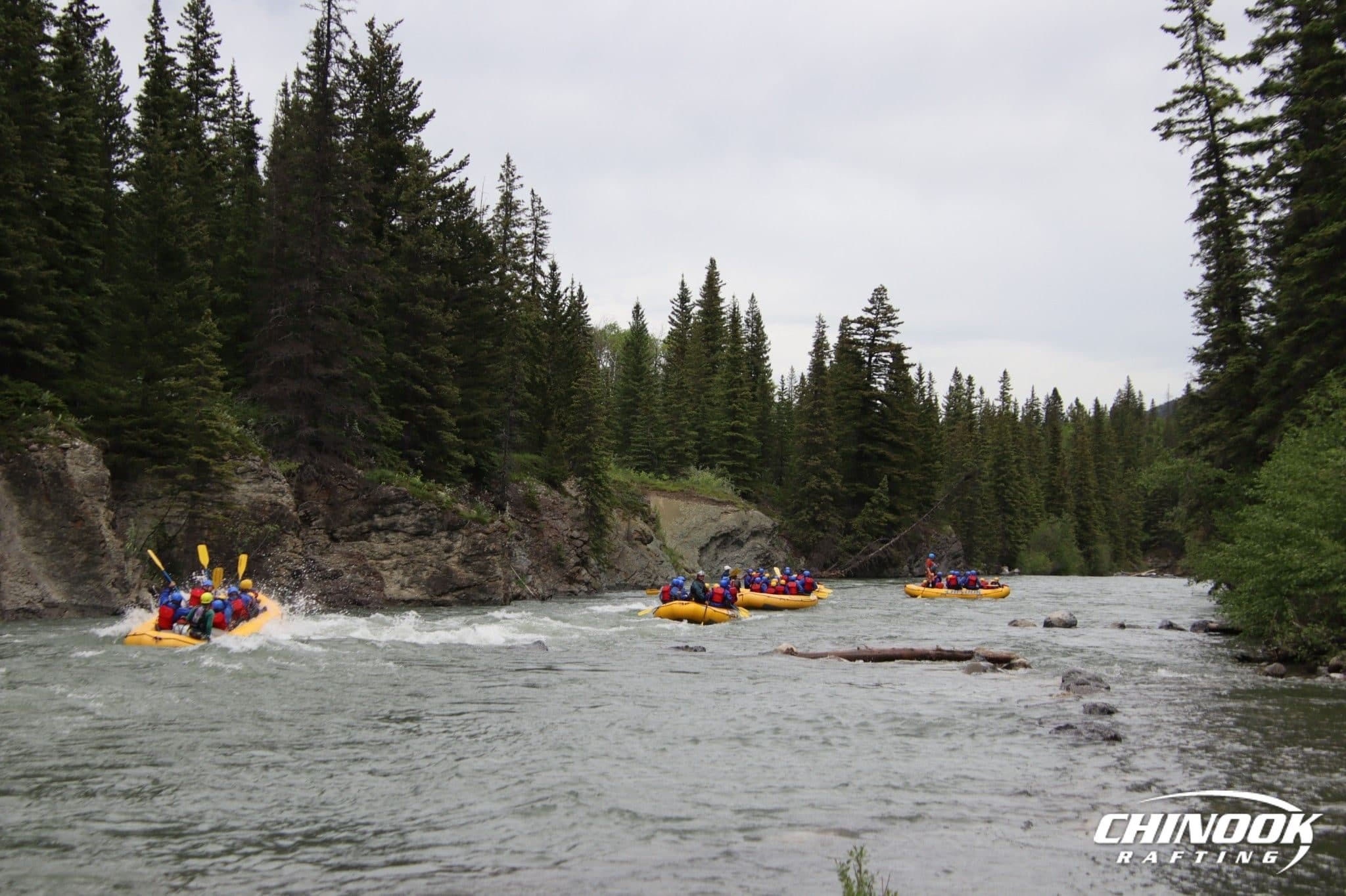 Kananaskis River — 2026-06-15 — imported [gd:1qCEwUHtmMeCN52gnuDPynB3kDnW2t6WA]