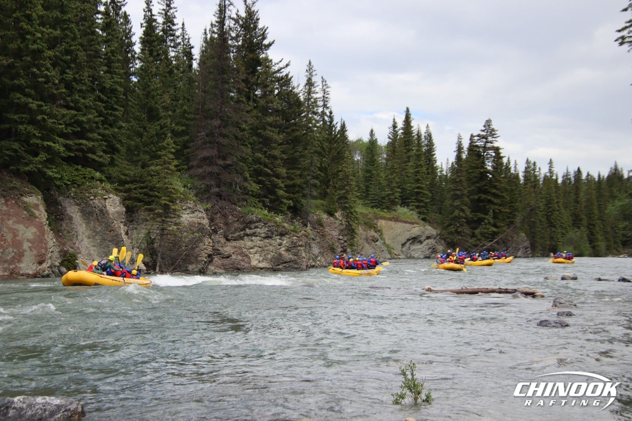 Kananaskis River — 2026-06-17 — imported [gd:1nd57Wr-XsYu3PhP0gTrPaO8jHXmVjLG7]