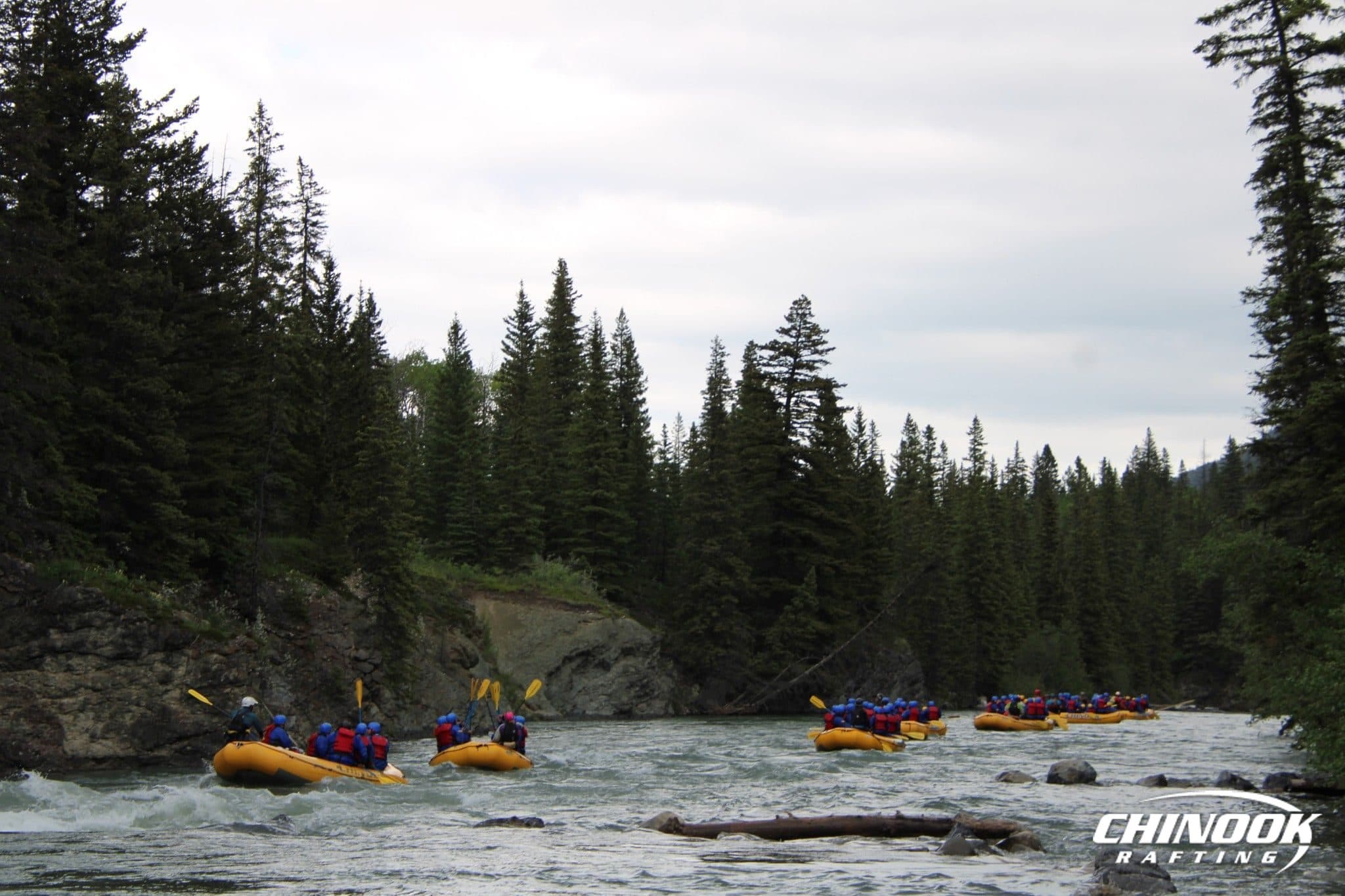 Kananaskis River — 2026-06-20 — imported [gd:1SV-khr9vs4A_iaqViQTiS_4yAp1Nj338]