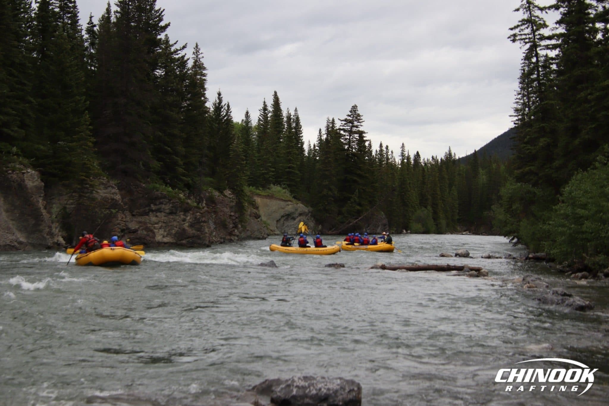 Kananaskis River — 2026-06-21 — imported [gd:1NvLYTpzazw2YXxsA8VNGHH_p3t7_Nd8V]
