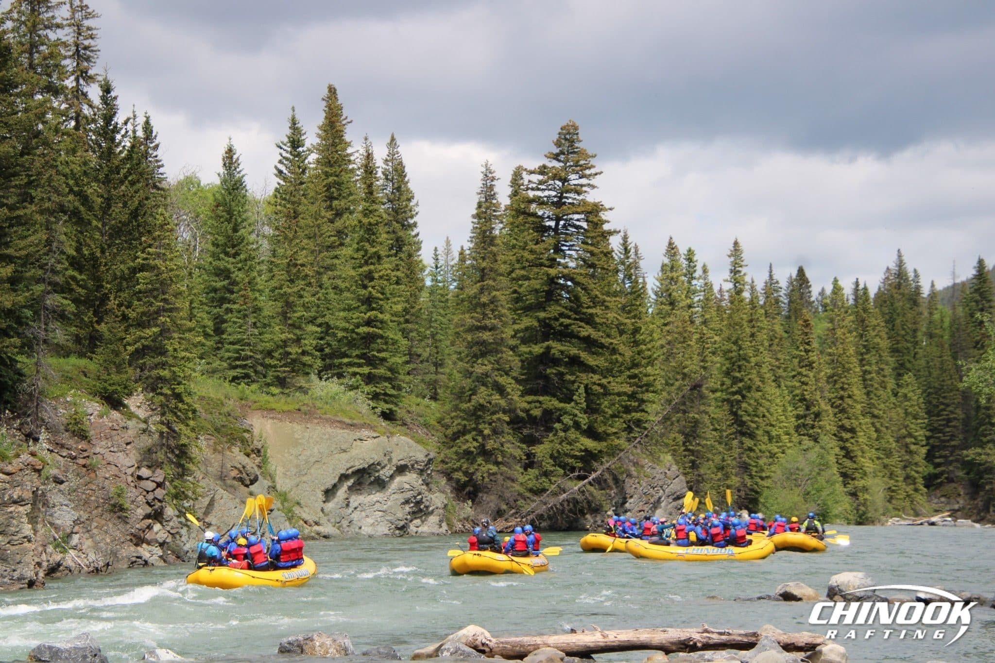 Kananaskis River — 2026-06-22 — imported [gd:14u3nT9K5N2-fBGJo3smZz40D1oyZa4dT]