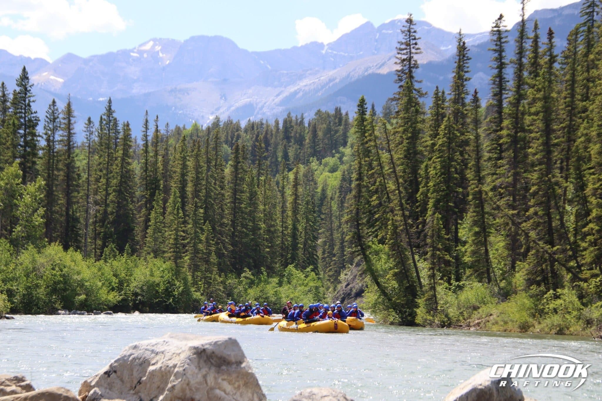 Kananaskis River — 2026-06-24 — imported [gd:1PYgLvaUveYId8-I4DVCf6WZ6K6CzNhG7]
