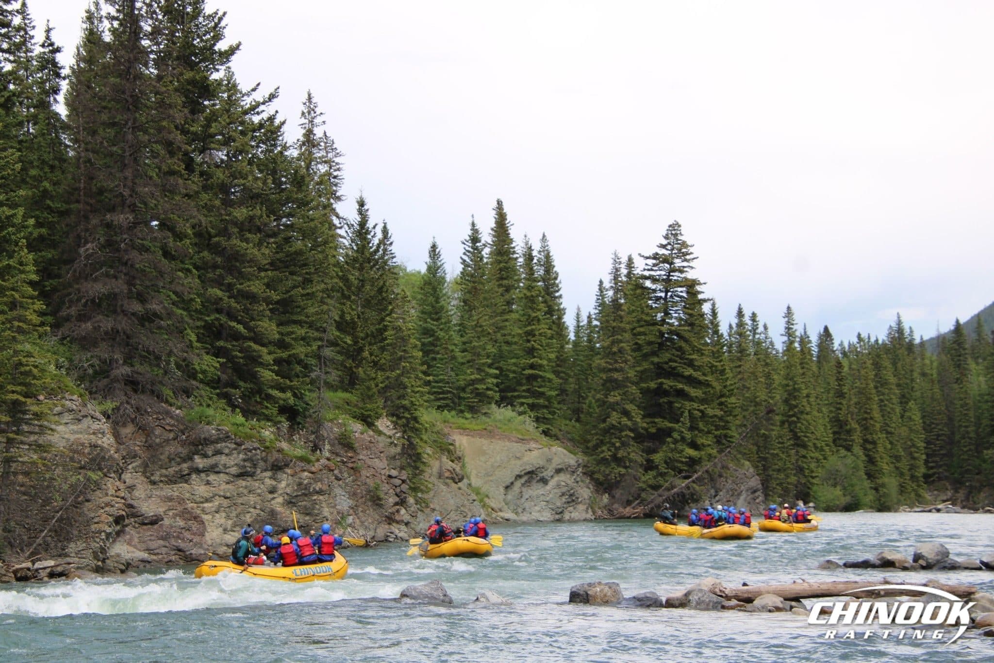 Kananaskis River — 2026-06-25 — imported [gd:10bCaK4TIBqYsZk6GMMGoc6ZhOyrudSml]