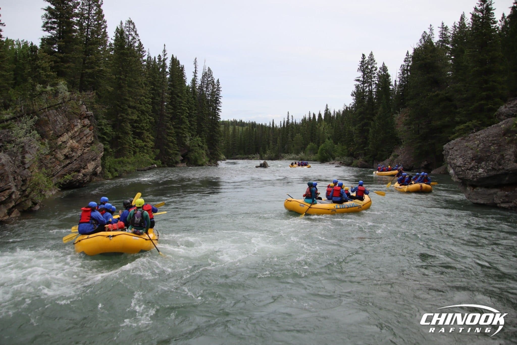 Kananaskis River — 2026-06-26 — imported [gd:13LmUiE0lLuRNqxcovCAVzGQA0oWmyRq6]