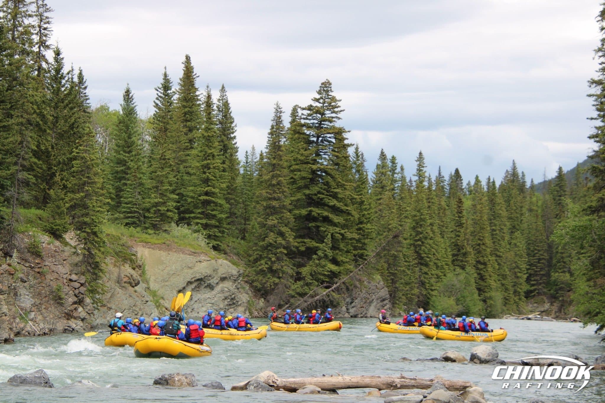 Kananaskis River — 2026-06-26 — imported [gd:1m9ixXCwpOJSgW2yKLVlN0Vu5PxUghHSa]