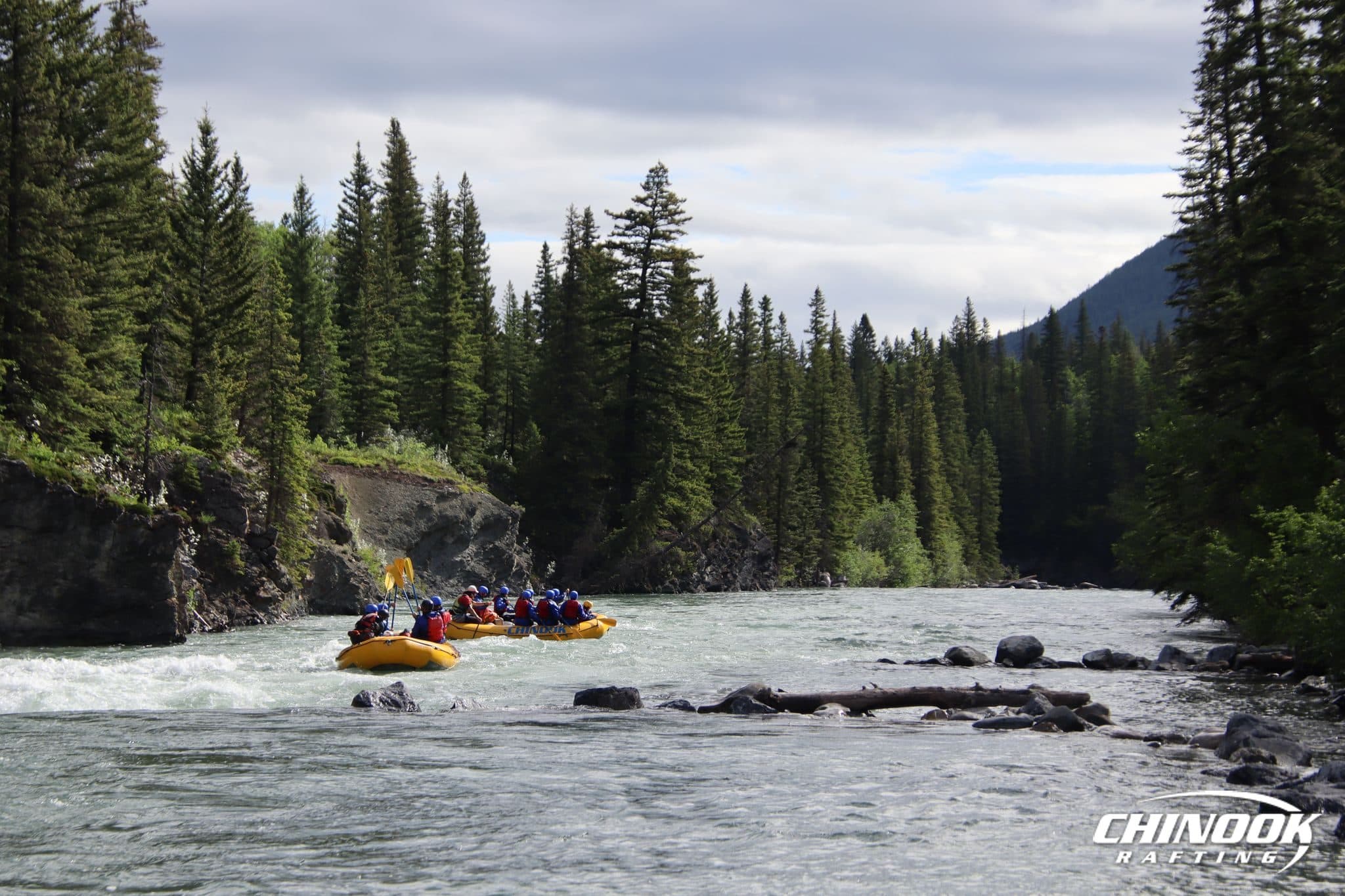Kananaskis River — 2026-06-27 — imported [gd:1SLr1vaWPxmRoyBYZ3Yi8Dh-7cVa3UYQ4]